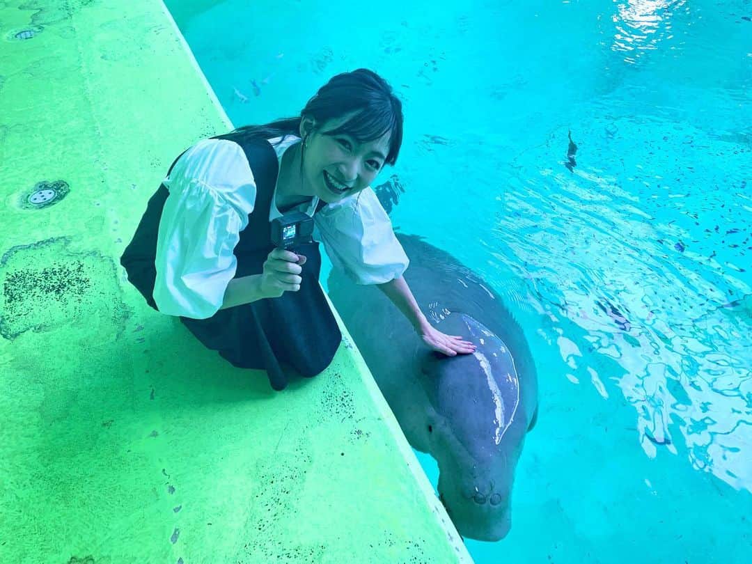 速水里彩のインスタグラム：「可愛い子たちの癒し効果、ほんとに絶大🥰  #鳥羽水族館 #伊勢シーパラダイス #東海テレビスイッチ #アナウンサー #速水里彩」