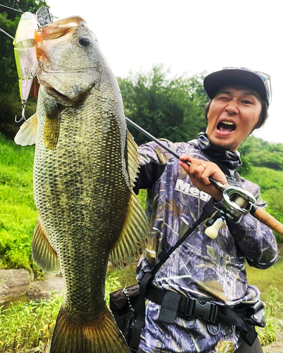 Megabass Inc.のインスタグラム：「SuWITCHはXPODより導入されたアイティオーテクノロジー、「トランスフォーメーションシステム」(PAT.)を搭載。 ひとつのルアーに複数のキャラクターを与える画期的なシステムは、ワンタッチでリップの角度を変更でき、ターゲットレンジと効果的なアクションについて瞬時のスイッチングを可能としています。 【SuWITCH】 https://www.megabass.co.jp/site/products/suwitch/  #SuWITCH #MegabssSuWITCH #Megabass #itoEngineering #YukiIto #bassfishing #jointbait #bigbait #メガバス #ITOエンジニアリング #伊東由樹」
