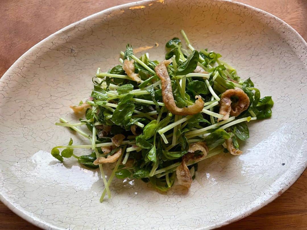 小橋めぐみのインスタグラム：「雑誌で気になったレシピを。 ほたて貝ひもと薬味のサラダ🥗  豆苗ざく切り、シソとミョウガは千切り。ごま油、オリーブ油、酢、塩で味付けて、最後に「かりっとほたて貝ひも」を入れて和えるだけ。  KINOKUNIYAの「かりっとほたて貝ひも　梅かつお味」は、そのままボリボリ食べても美味しいくらい、かりっとしていて好き。 酒のつまみになりますな🍶  #日本酒に合わせたい料理」