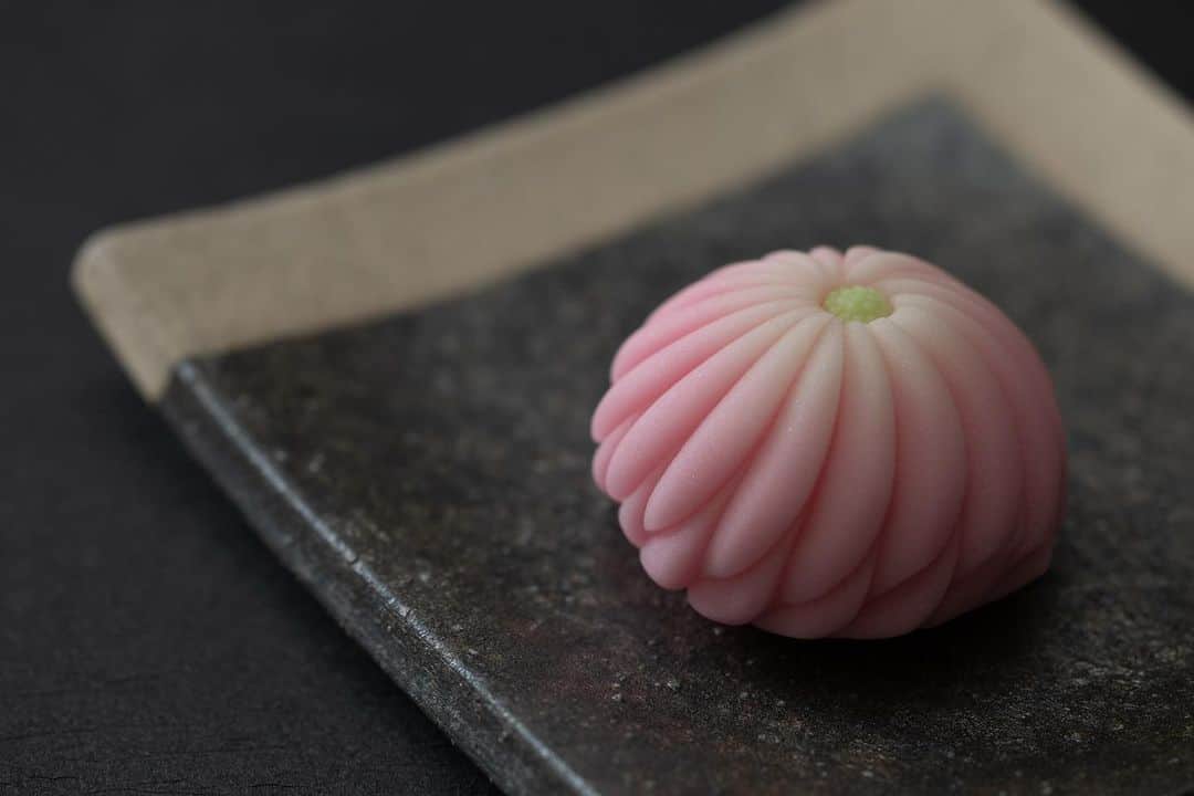 Toru Tsuchieさんのインスタグラム写真 - (Toru TsuchieInstagram)「今日の和菓子はねりきりで作った #へら菊 です。 ねりきりとは白餡に餅や芋を混ぜて作った和菓子で 茶道 で使われる「主菓子」の一種です。 #撮影 用に製作しました。  基本的な菊の意匠ですが真面目に作ろうと思うと意外と難しいです。 もし次に @cookaura_ さんで和菓子教室する時がありましたら是非この意匠をメニューに入れたいと思っています。  そのクックオーラさんでは @gin_.taka さんを講師にごちそうあんこ〜粒餡編〜 ワークショップが予定されています。  10月13日（金）満席、14日（土）午前満席、  10月14日（土）14:30〜16:00の回のみ若干の空きありです。  のようです。 興味のある方はお早めに。  フェイスブックページのいいね！もよろしくお願いします。 https://www.facebook.com/shishisu/  日本和菓子培训讲座接受请求。 Japanese Wagashi #Training #Seminar is accepting requests. Today's wagashi is #chrysanthemum with Nerikiri. Nerikiri is a Japanese unbaked cake based on white bean jam mixing and kneading rice cake, sugar, starch syrup. Is a kind of "Jounamagashi" as used in the tea ceremony. The sweets I've made for the shooting. #福泉堂  #上生菓子 #和菓子 #練切 #煉切 #ねりきり #菊 #instadaily #器 #sweets #秋の花 #wagashi #foodstagram #和菓子好き #日本 #rf100mmmacro #Japon #rfレンズ #canon #japaneseconfectioneries  #culture」8月18日 8時17分 - choppe_tt