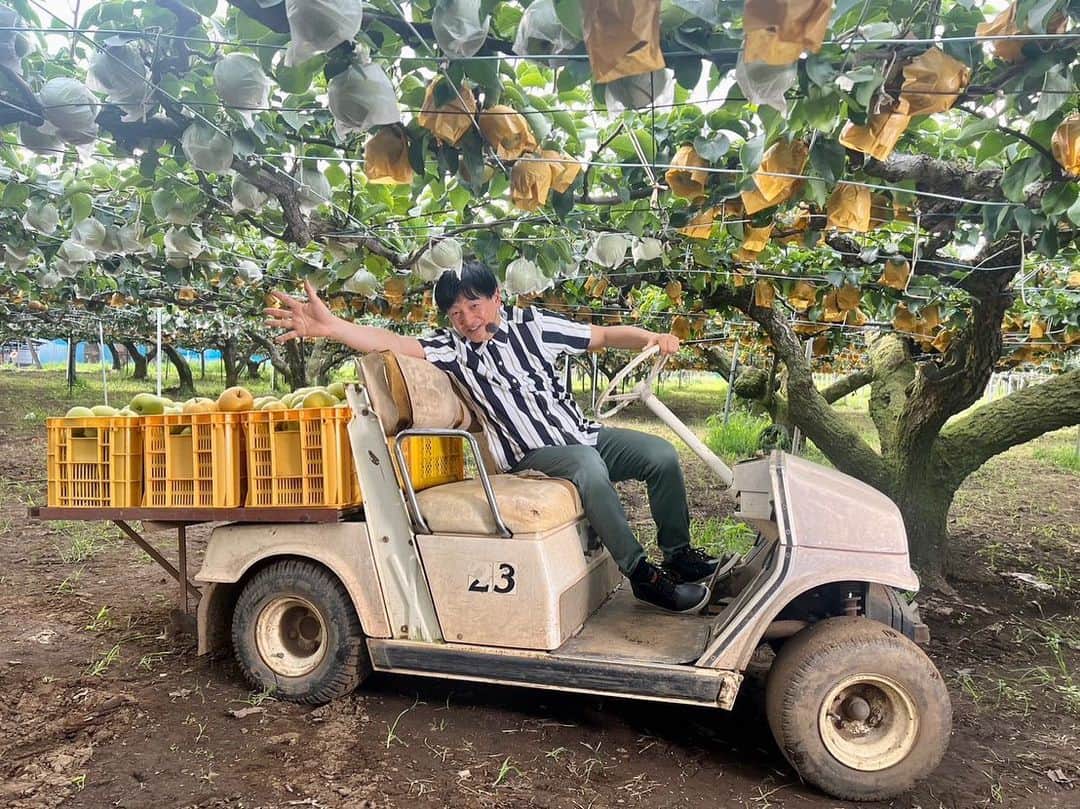 依田司さんのインスタグラム写真 - (依田司Instagram)「8月18日（金） 梨の生産量が全国一位の千葉県。その船橋市にある芳蔵園さんから、収穫が始まっている梨をご紹介。 長かった日照時間のおかげで、例年に増して、甘く美味しくなっているようです。 今、収穫されているのは「幻の梨」とも呼ばれる「秀玉（しゅうぎょく）」。栽培が大変で出回っている数が少ないそう。 また、隣接するカフェでは、「かき氷」や「フルーツサンド」が大人気。果汁ぶっしゃーの梨で残暑を乗り切りましょう。  #芳蔵園 #梨 #依田さん #依田司 #お天気検定 #テレビ朝日 #グッドモーニング #気象予報士 #お天気キャスター #森林インストラクター #グリーンセイバーアドバンス #プロジェクトワイルド #IPCC伝導者 #japan #japantrip #japantravel #unknownjapan #japanAdventure #japanlife #lifeinjapan #instagramjapan #instajapan #療癒 #ilovejapan #weather #weathercaster #weatherforecast」8月18日 8時33分 - tsukasa_yoda