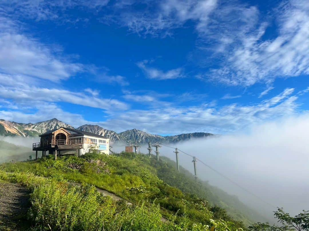 白馬八方尾根スキー場のインスタグラム：「下から見ると曇り空でも、山の上は快晴☀雲海☁になっていることも多々！  特に朝は幻想的な雲海を楽しめるかもしれません😇  #hakuba #happo #白馬 #八方尾根 #夏  #グリーンシーズン #八方池 #高山植物 #絶景 #白馬三山 #かわいい #八方尾根自然研究路 #カラフル #八方アルペンライン #雲海」