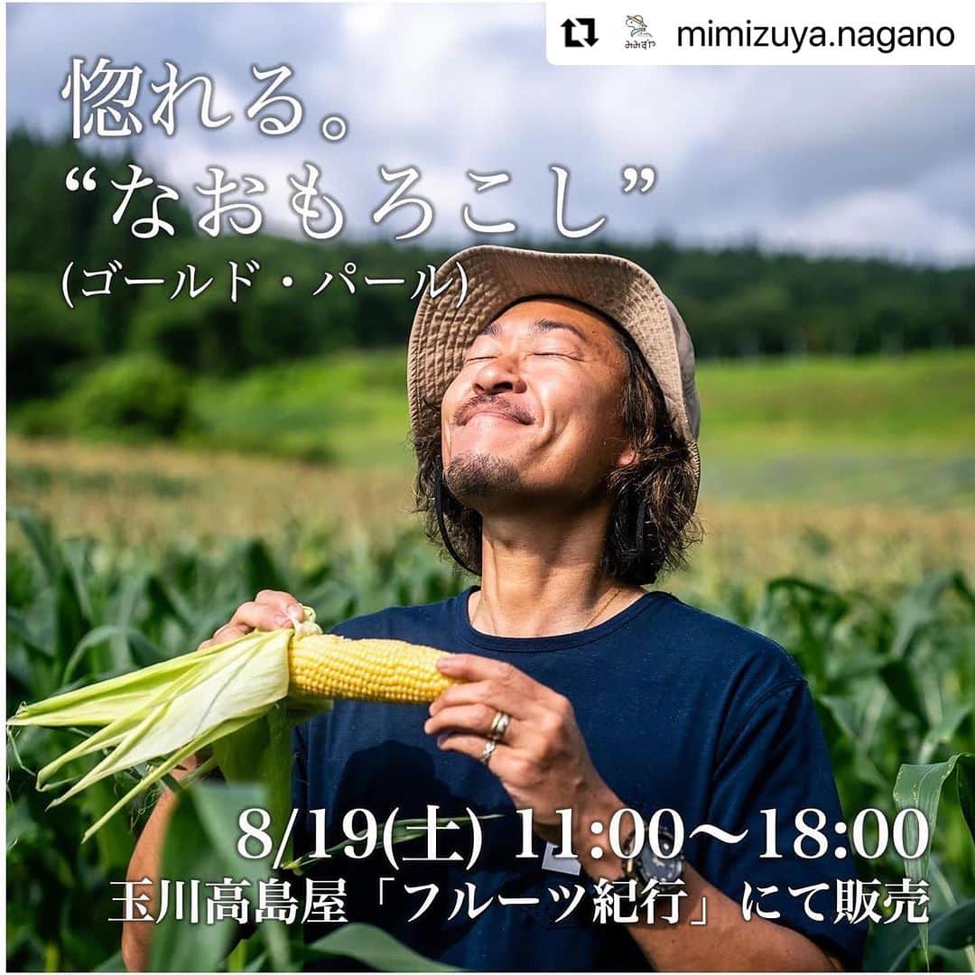 石川直宏のインスタグラム：「『二子玉上陸』  8月19日(土) 11:00〜18:00 玉川高島屋本館1F・催事スペースにて、朝採れ"なおもろこし"や"NAO's 米"を販売します🌽🌾👨🏽‍🌾✨  僕は11:00〜15:00まで店頭販売します🤝  当日は日産スタジアムで横浜F •マリノス戦があるので、試合に行く方は是非二子玉に立ち寄ってから、生で食べてパワー蓄えてから向かって下さい⚽️ 笑  待ってますね💙❤️  NAO's FARM農場長　石川 直宏  #Repost @mimizuya.nagano with @use.repost ・・・ 今週土曜・東京・二子玉川！ 新鮮野菜たちを届けます！  元サッカー日本代表 石川 直宏さんとのコラボファーム NAO’s FARMの“なおもろこし”。 ※当日はご本人も店頭に立ちます！(11:00〜15:00)  そして、飯綱町の給食での提供を目指し、 農薬や化学肥料を使用せず栽培した”みみず野菜”。  玉川高島屋の「フルーツ紀行」にて限定出展します。 “もはやフルーツ”としてお楽しみください！  もし近郊の方がいらっしゃったら、 遊びに来ていただけると嬉しいです☺️  ーーーーー  【イベント概要】  玉川高島屋「フルーツ紀行」 生産者から直接買い付けたフルーツをお届けする特別販売会を開催！  日時：2023年8月19日(土) 11:00〜18:00 のみ  -  【NAO’s FARM・みみずや出展予定品】  「惚れる。“なおもろこし”」 ・ゴールド (黄とうもろこし) ・パール (白とうもろこし)  「NAO’s 米」 ・長期保存可能2合パック ※農薬・化学肥料：栽培期間中不使用  「よい土、よい味。“みみず野菜”」 ・フルティカ (中玉トマト) ・ほれまる (ミニトマト) ・ヘルシエ (通常の２倍粘るオクラ) ※農薬・化学肥料：栽培期間中不使用  -  【会場】 玉川高島屋本館1F・催事スペース 〒158-0094 東京都世田谷区玉川3-17-1  -  【アクセス】 東急田園都市線/東急大井町線 「二子玉川駅」下車 西口（国道246号方面）徒歩2分  -  【特設サイト】 https://www.takashimaya.co.jp/tamagawa/sc/event/?id=5191  ーーーーー  【追記】※再投稿 「農林水産省新ガイドラインによる表示」 において、農産物販売時に 無化学肥料・無農薬という表示が 禁止されていることから 一部投稿内容を修正いたしました。 私たちの勉強不足で誤解を招く 表示となってしまっていたこと、 大変申し訳ありませんでした。  #とうもろこし #とうもろこし栽培 #循環再生農業 #アスリート農場 #アスリートセカンドキャリア支援 #農業体験 #アスリートセカンドキャリアサポート #アスリート農園  #アスリートの畑を手伝う #アスリートの思いのこもった畑 #アスリートの思い #石川直宏 #naosfarm2023  #naosfarm #とうもろこしのメニュー #とうもろこしのレシピ #なおもろこし #なおもろこしゴールド  #なおもろこしパール」