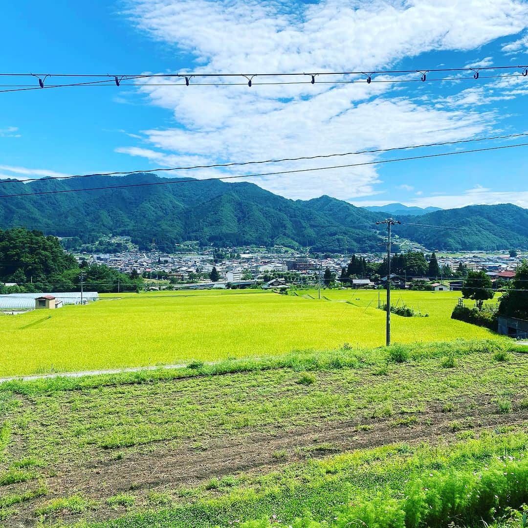 林千晶のインスタグラム：「朝の眺め。 冷房をかけなくても、ひんやり冷たい風が吹いている。 こういう瞬間に、しあわせって思う！」