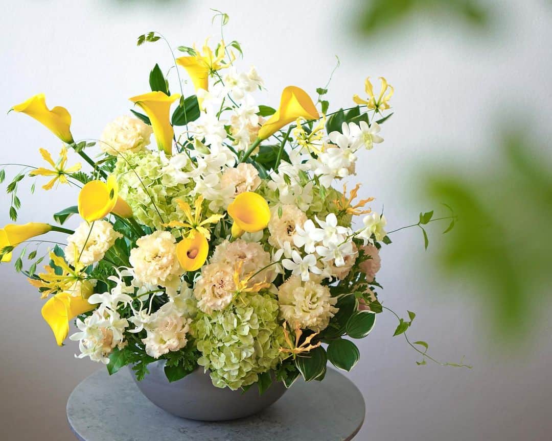 AOYAMA_HANAMOさんのインスタグラム写真 - (AOYAMA_HANAMOInstagram)「豊かに咲いた、明るく柔らかいトーンの花々。 ・ 黄色のカラーやグロリオサ、アプリコット色のトルコキキョウ、淡いグリーンのハイドランジア、白いデンファレ…。それぞれの花々の個性を生かし、あふれるようにたっぷりとレイアウトしたアレンジメントです。 花色の繊細な美しさが際立つよう、花の向きにもこだわって上品に仕上げました。 ・ 1年を通して生花店で見かける、切り花の蘭・デンファレ。正式名称の「デンドロビウム・ファレノプシス」を略して、“デンファレ”と呼ばれています。 インドネシアが原産で、1本の細い茎に連なるように花をつける可憐な花姿が特徴です。ピンクや紫、グリーン、濃い色から淡い色までさまざまな花色があります。ハワイの伝統的な花飾り「レイ」の材料としても有名ですね。 暑い夏でも比較的日持ちがよいので、この時期ご自宅に飾る花としてもおすすめです。 ・ 商品名：アレンジメント＜アマルフィ＞ - - - #aoyamahanamo #青山花茂 #お花のある生活 #花が好きな人と繋がりたい #花を飾ろう #花のある暮らし #花のあるくらし #花のある日常 #癒しの花 #季節の花 #旬の花 #花とおうち時間 #花贈り #フラワーギフト #花の贈り物 #カラー #トルコキキョウ #リシアンサス #ハイドランジア #アジサイ #紫陽花 #デンファレ #グロリオサ #グリーンスケール #ゼラニウム #アレンジメント #フラワーアレンジメント #夏のアレンジメント #夏のフラワーギフト」8月24日 18時00分 - aoyama_hanamo