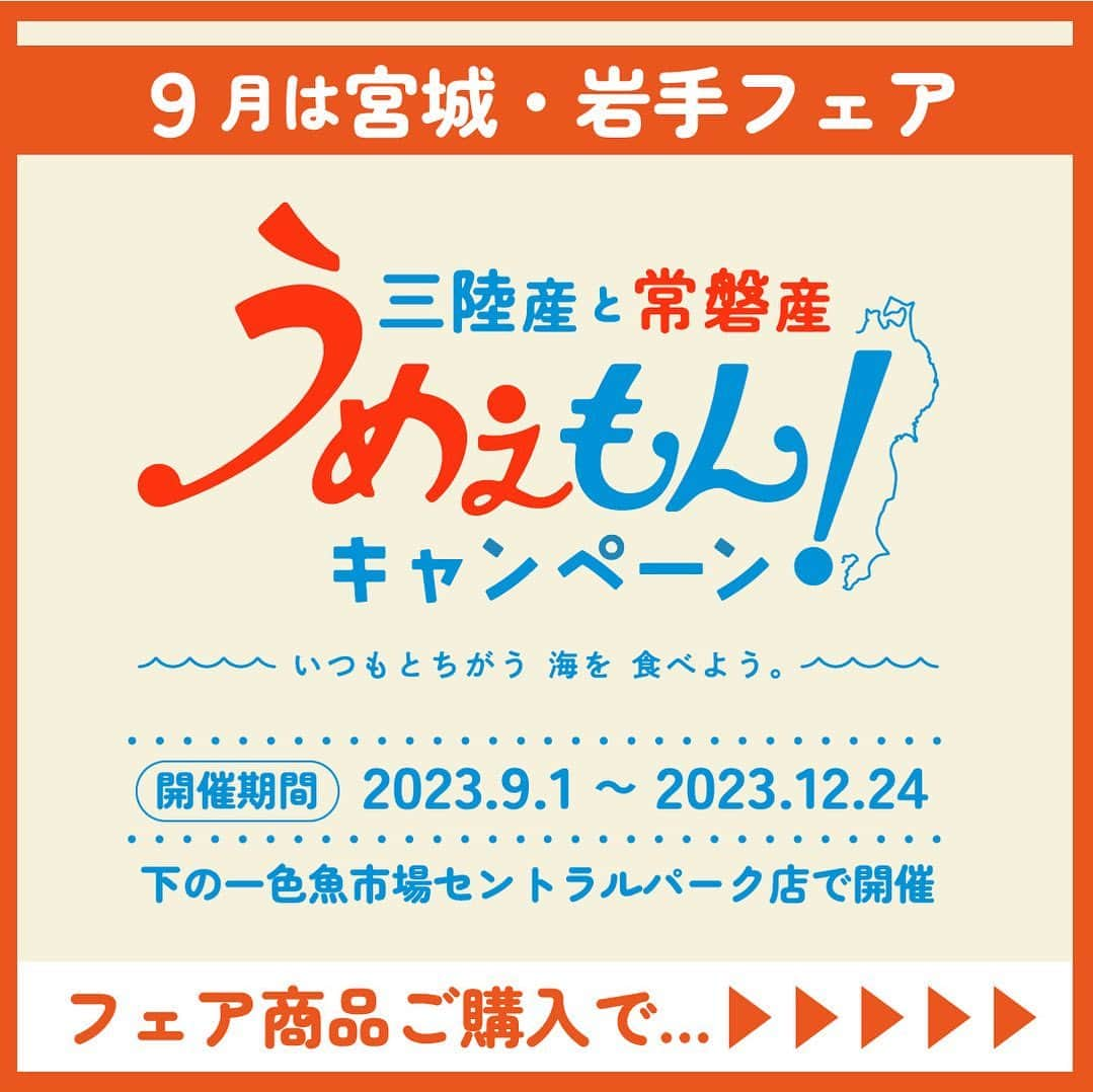 森朝奈さんのインスタグラム写真 - (森朝奈Instagram)「9月から、下の一色魚市場(セントラルパーク店)で東北の魚フェアを開催します！  9月は宮城岩手フェア🐟 東北の該当商品を買ってスタンプカードを貯めると、おいしい海鮮がもらえるイベントもやっているのでぜひ訪れてください✨  @shimonoishiki__central_park」8月18日 10時18分 - asanamori