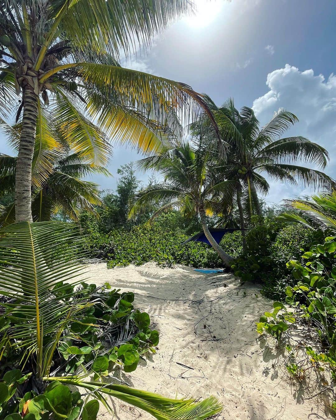 小泉麻耶さんのインスタグラム写真 - (小泉麻耶Instagram)「Great summer vacation 🩵🩵🩵  #puertorico #beautiful #beach」8月18日 10時31分 - mayakoizumi