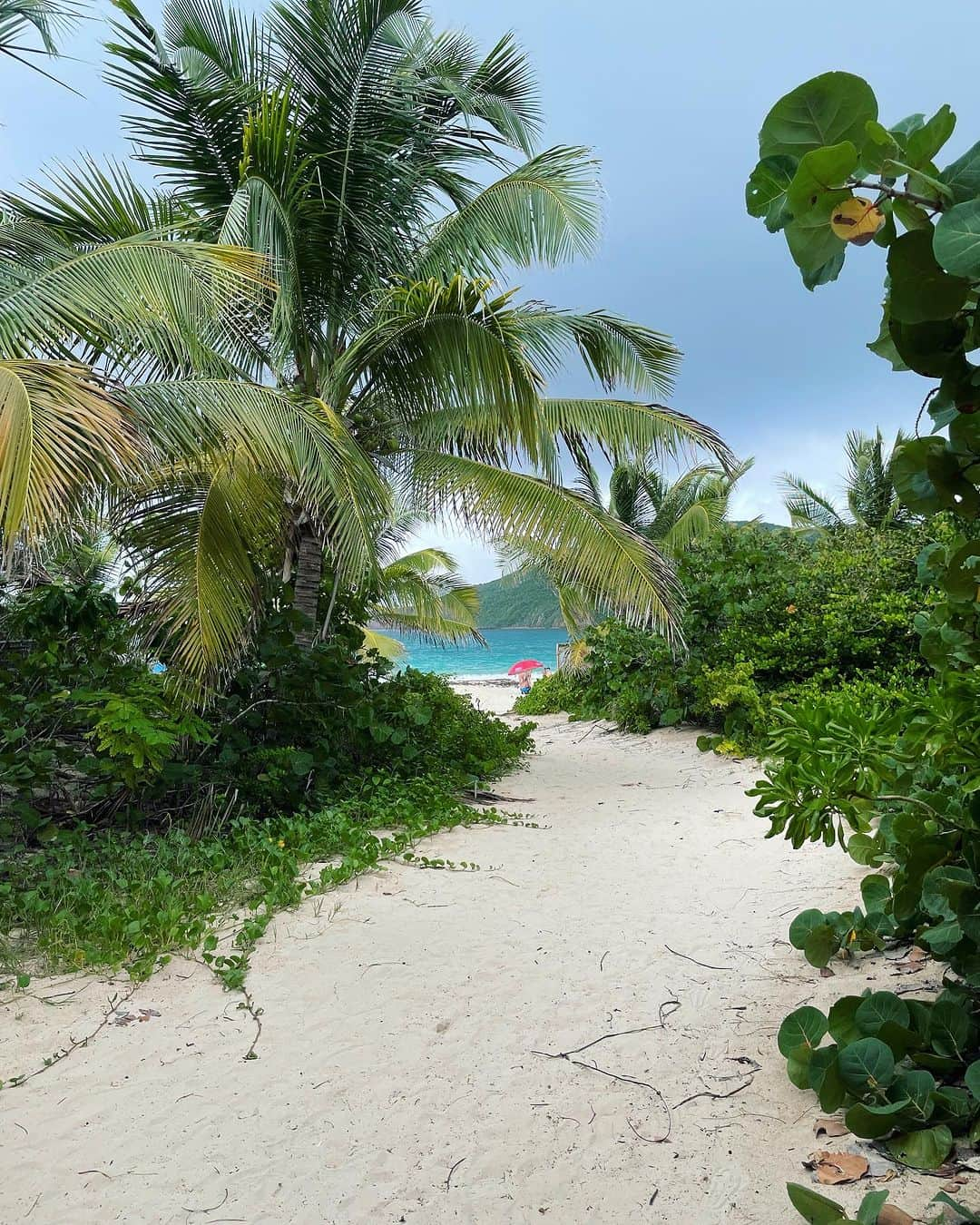 小泉麻耶さんのインスタグラム写真 - (小泉麻耶Instagram)「Great summer vacation 🩵🩵🩵  #puertorico #beautiful #beach」8月18日 10時31分 - mayakoizumi