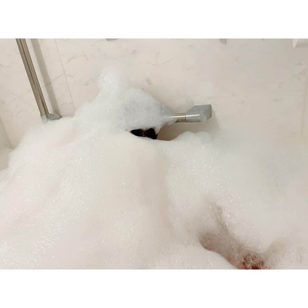 中川翔子さんのインスタグラム写真 - (中川翔子Instagram)「しようこを探せ‼️ YouTubeもみてね❣️   #泡風呂  #風呂  #bathroom  #youtube  #中川翔子  #しょこたん」8月18日 10時41分 - shoko55mmts
