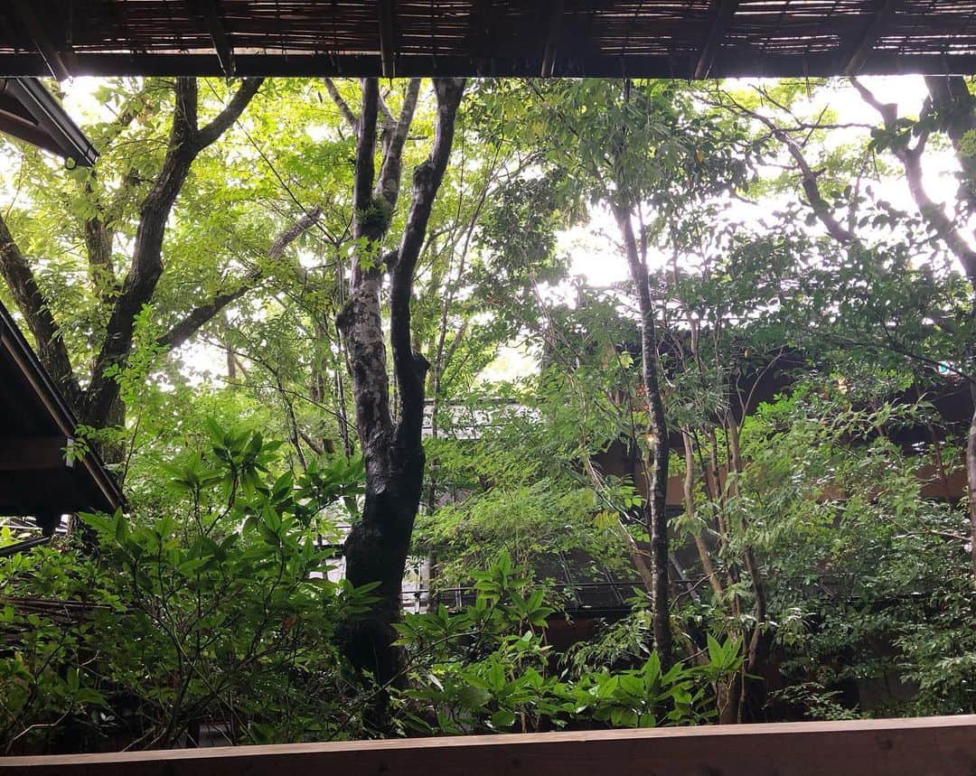 日登美さんのインスタグラム写真 - (日登美Instagram)「Love Onsen ❤️  やっと2人だけで念願の温泉旅行。最高でした。」8月18日 11時01分 - hitomihigashi_b