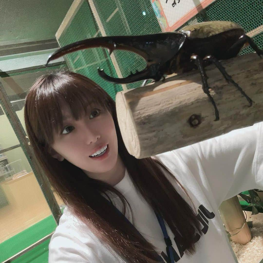 藤井舞さんのインスタグラム写真 - (藤井舞Instagram)「先日ロケで行った山梨県立科学館🥼 ヘラクレスの大きさにびっくり！  #アナウンサー  #パーソナリティー  #ラジオ  #fmfuji  #女性経営者  #BARオーナー  #赤坂BAR  #会員制BAR  #山梨  #山梨県立科学館」8月18日 11時09分 - fujii_mai_