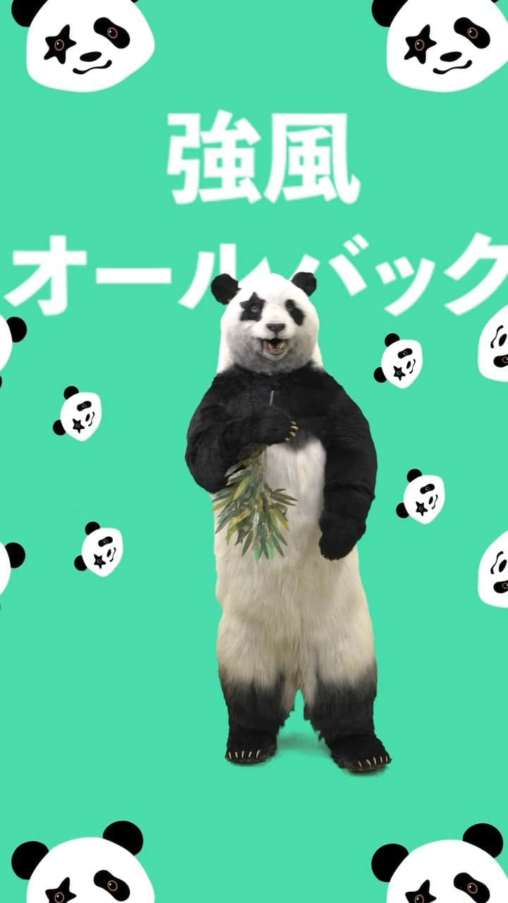 星星（セイセイ）のインスタグラム：「笹笛　#強風オールバック #踊ってみた #星星 #seisei #パンダ #panda #dance #笹」