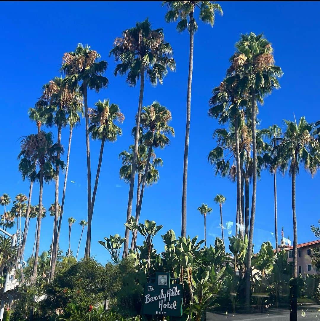 マキ・コニクソンさんのインスタグラム写真 - (マキ・コニクソンInstagram)「Hello from “The Beverly Hills Hotel”  Hotel California イーグルスを思い出すー。 懐かしいっ。  お仕事でLA入り。 LAの青空と背の高い椰子の木。 こっちも絵になりますね。 ハワイとは全く違う魅力がある！  最近めちゃくちゃドジばかり してるから慎重に行動しないと！ Extra Careful & 意識して行動します！ LAで気合いを入れて 頑張るぞぉ〜！💪🏼  今日もお互いハッピーな一日 過ごそうね！❤️  #LAのおすそ分け🤙🏼  #Hotel California  #意識して行動 #I❤️LA」8月18日 12時38分 - makikonikson