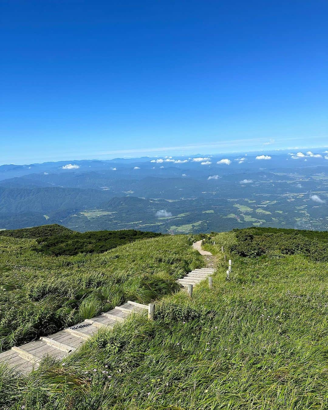 中村葵さんのインスタグラム写真 - (中村葵Instagram)「大山⛰️綺麗だったー！！  登ってきたって言うと登った事ある方には、  8号目あたりから楽しいよね😕笑　  って話に絶対なる笑  久しぶりにガッツリ登山だったので筋肉痛がまだひどいですwww  #大山登山 #大山#鳥取#鳥取大山#登山#山登り##登山女子 #山登り好きな人と繋がりたい #山#ハイキング#トレッキング#中村葵 #daisen#tottori」8月18日 12時58分 - aoinakamura123