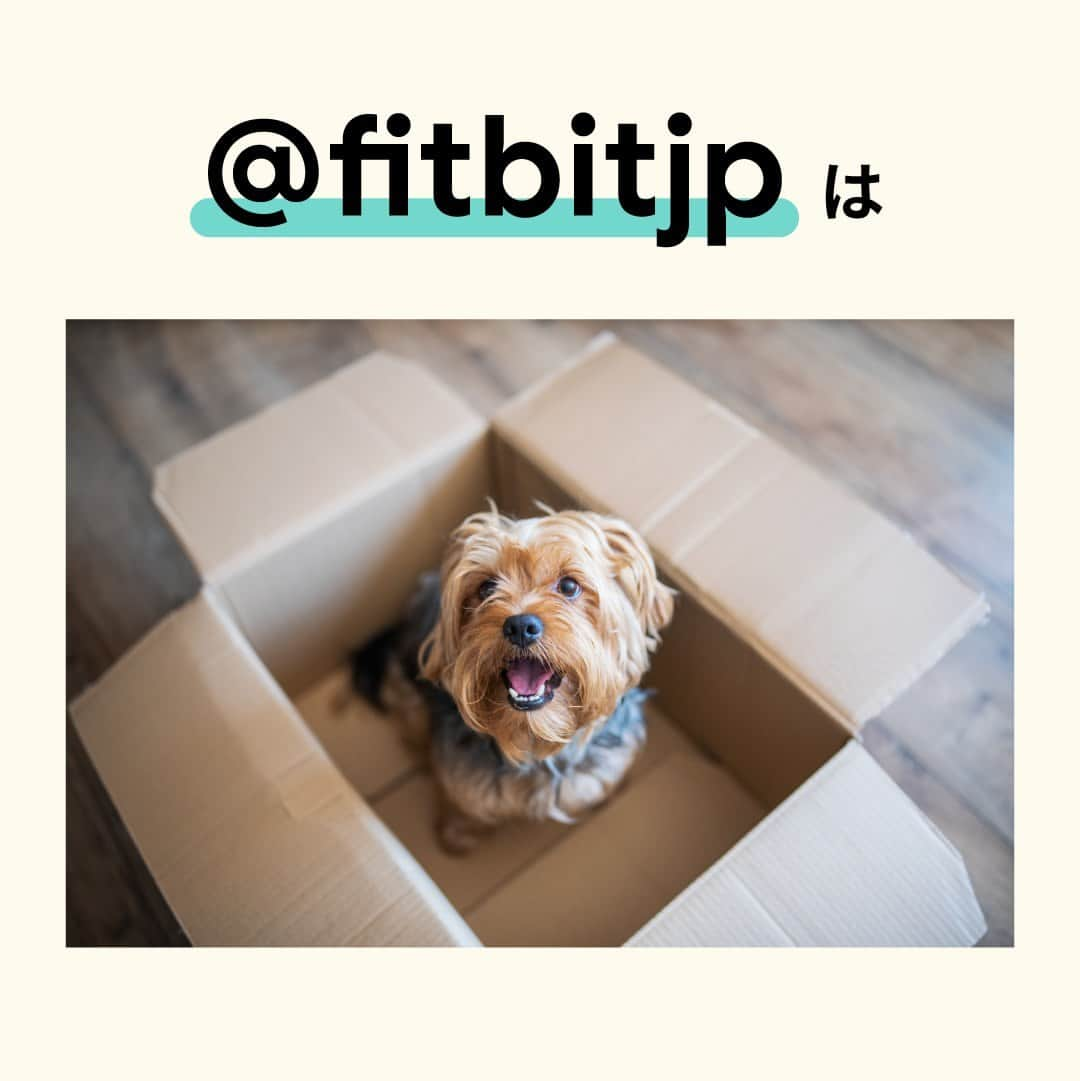 Fitbit Japanさんのインスタグラム写真 - (Fitbit JapanInstagram)「私たちは引っ越します。これからは @fitbit をフォローして、新しい情報や日々のヒント、そしてペットのかわいい写真を見つけてください。」8月18日 13時02分 - fitbitjp