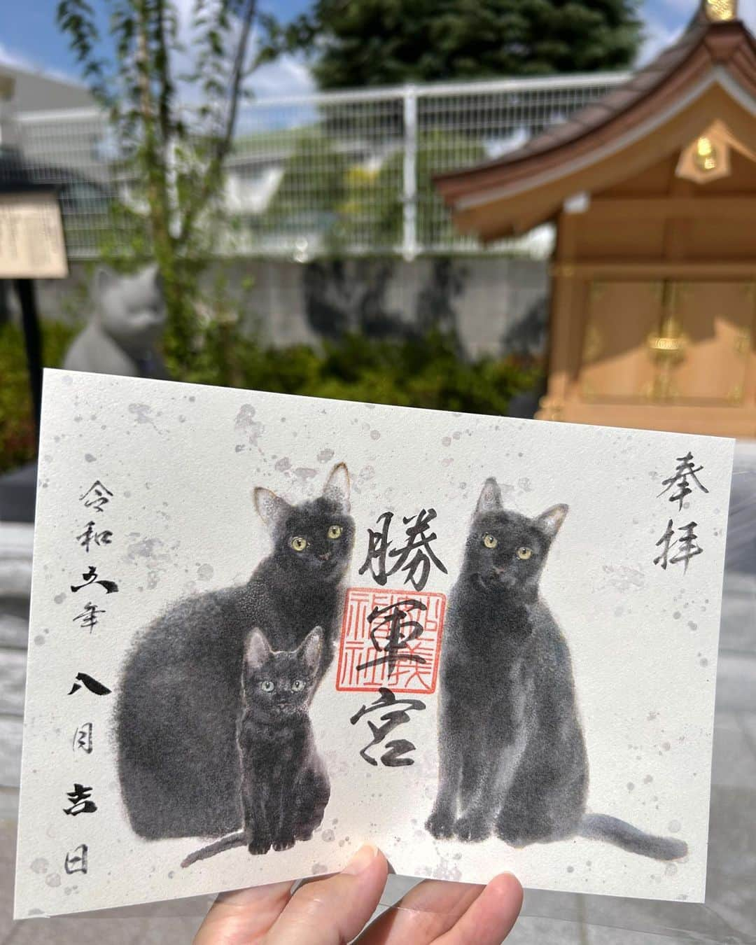 理絵のインスタグラム：「駒込妙義神社🐈‍⬛  狛猫さんがいらっしゃると聞いて行ってきました🐾  しかし今日は暑すぎる‼️  時間帯にもよると思いますが敷地内に日陰が無く木陰とかも無くて  暑さで軽くクラクラしてきたので急いで参拝を済ませ社務所へ伺うと誰もいない  インターフォンを数回鳴らしてみたけれど応答なし  開いている時間帯のはずだしカレンダーも見て来たんだけれど  「神様なんで開いてないのー！」と汗だくになりながら心の中で叫びましたよ🗣️  御朱印だけは書き置きのものがセッティングされていたので  一枚戴いてお賽銭箱に500円を投入し再度参拝🙏🏻  帰宅したら御朱印帳に貼り付けよう♪  #駒込妙義神社  #妙義神社 #神社 #狛猫 #勝軍宮」