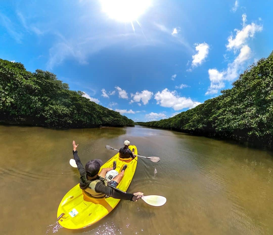 GoProさんのインスタグラム写真 - (GoProInstagram)「日本のジャングルを冒険！🌿🌳 西表島の熱帯雨林をカヤックで探索する @waffle_yg0 。 #GoProMAX で撮影 📷 ・ ・ ・ #GoPro #GoProJP #GoProのある生活 #八重山諸島 #八重山 #西表島 #ジャングル #世界遺産」8月18日 14時00分 - goprojp