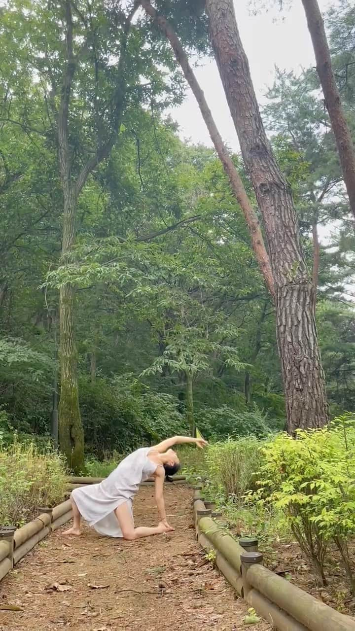 ユン・ジンソのインスタグラム：「숲이 되는 꿈💚  오늘 태교 어떻게 하고 있냐는 질문을 받았다.  생각해 보니 따로 뭘 하는 건 줄었다. 요가도 좀 덜하려고 하고 공부도 좀 덜 하려고 하고 원래 좋다하는 것들을 했다. 영화를 보거나 시간이 생기는대로  산이나 바다 계곡 숲으로 다니고 있다. 자연이 해주는 일들이 자연스레 나타나길 바란다 🌿  #태교는무언가요?」