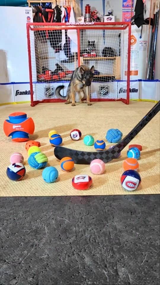 Instagramさんのインスタグラム動画 (InstagramInstagram)「Eyes on the prize