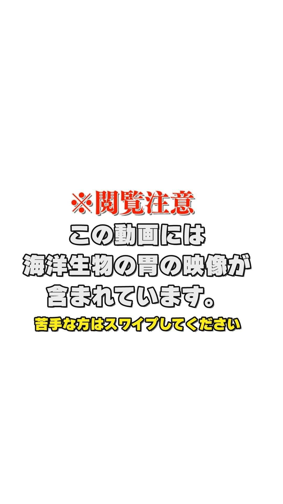 テレ朝newsのインスタグラム：「【※閲覧注意】 何を食べているか調査することで、 汚染物質がどうやって取り込まれたのか見えてくるといいます。 イッカクの胃は重さ10kgほど、持つのも一苦労なほど巨大ですが 研究者2人がかりで解体して内容物を取り出します。 こし器を使って中身をろ過すると、 ホッキョクダラを筆頭に、エビやイカなどの残骸が大量に出てきます。 ピンセット片手に丁寧に一つひとつ分類していきますが、 1つの胃を調査するのに3時間以上かかることも… 研究の裏にはこうした根気のいる作業も隠れています。 #松本と屋比久の北極滞在記 #北極ノート #テレ朝news #北極 #胃 #調査 #イッカク #ホッキョクダラ #エビ #イカ #研究 #nature #Science」