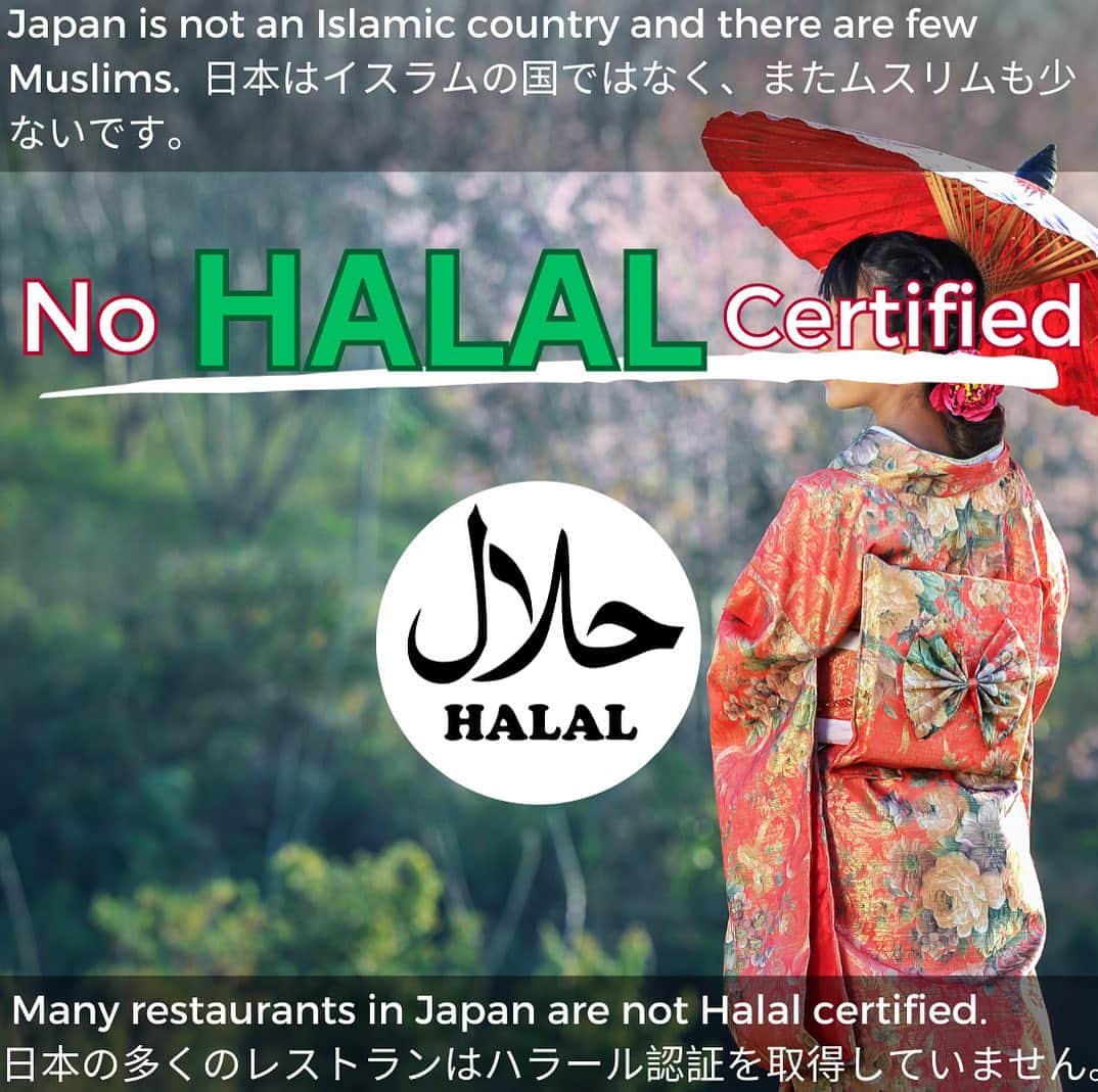sunaさんのインスタグラム写真 - (sunaInstagram)「Do Japanese understand HALAL? 日本人はハラールを知ってる？ . . When you go to the restaurant, you may ask the waitress " is this meal Halal?". レストランに行くとき、ウェイトレスさんにこれはハラールですか？とききますよね。  Japan is not islamic country and there are few muslims. 日本の場合、イスラムの国ではないのと、ムスリムが少ないです。  So, many restaurant in Japan are not Halal certified. そのため、日本の多くのレストランはハラール認証を取得していません。  Plus,Japanese people don't know much about islam. そして、日本人はイスラム教についてあまり詳しくありません。  Many Japanese don't know Halal, they also don't know what muslim can't eat. 多くの日本人はハラールを知らず、ムスリムが食べれないものもよく知りません。  So,please be specific about what you can and can't eat. なので、日本ではより具体的に、何が食べれるかを伝えるようにしましょう☝️ . ✴︎✴︎✴︎✴︎✴︎✴︎✴︎✴︎✴︎✴︎✴︎✴︎✴︎✴︎✴︎✴︎✴︎✴︎✴︎✴︎✴︎✴︎✴︎✴︎ このアカウントでは、改宗ムスリマSofiaがマレーシアのイスラム文化を楽しく学ぶ方法を発信しています。  On this account, Sofia, a Muslim convert posts information regarding Malaysia islamic culture so that you can learn about Malaysian Islamic culture in a fun way. ✴︎✴︎✴︎✴︎✴︎✴︎✴︎✴︎✴︎✴︎✴︎✴︎✴︎✴︎✴︎✴︎✴︎✴︎✴︎✴︎✴︎✴︎✴︎✴︎ . #islam  #japanesemuslim   #malaysiatiktok  #muslimmalaysia #malaysian  #malaysia  #malaysiaculture  #japaneseinmalaysia  #japanesemuslimah  #orangjepun   #igmuslim  #learningislam  #muslimrevert  #revertmuslim  #muslimconvert  #islamic  #japanesemuslimah #fivepillarsofislam #muslimprayer   #マレーシア #マレーシア生活  #マレーシア移住  #マレーシア旅行  #ムスリム #イスラム  #イスラム教 #イスラム教徒 #お祈り #海外ガール  #海外在住日本人  #国際結婚」8月18日 17時07分 - sofia_muslimjapan