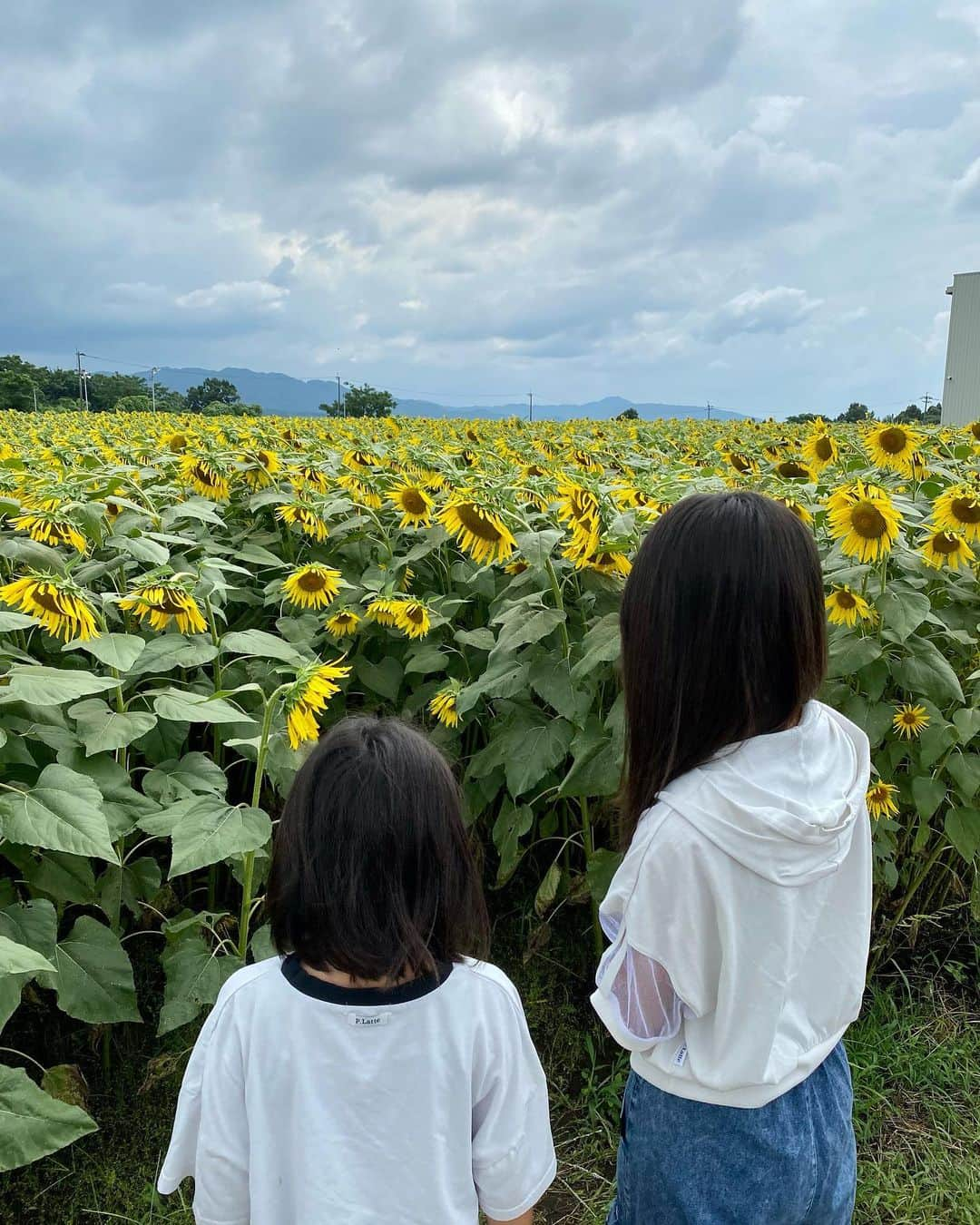 水元秀二郎さんのインスタグラム写真 - (水元秀二郎Instagram)「愛娘の夏休み2023 さて、この２日間は近隣で遊ぶ。 まずはひまわり畑へ🌻 そしてお約束のゲーセンへ☺️ 長女余裕でゲット！！ 次女はワニワニパニック（笑） いつまでも可愛くいてね。 #水元秀二郎#愛娘#2人のエルサ#夏休み2023#ひまわり#畑#ゲーセン#ゆーふぉーきゃっちゃー」8月18日 17時34分 - gangsta.hidejiro