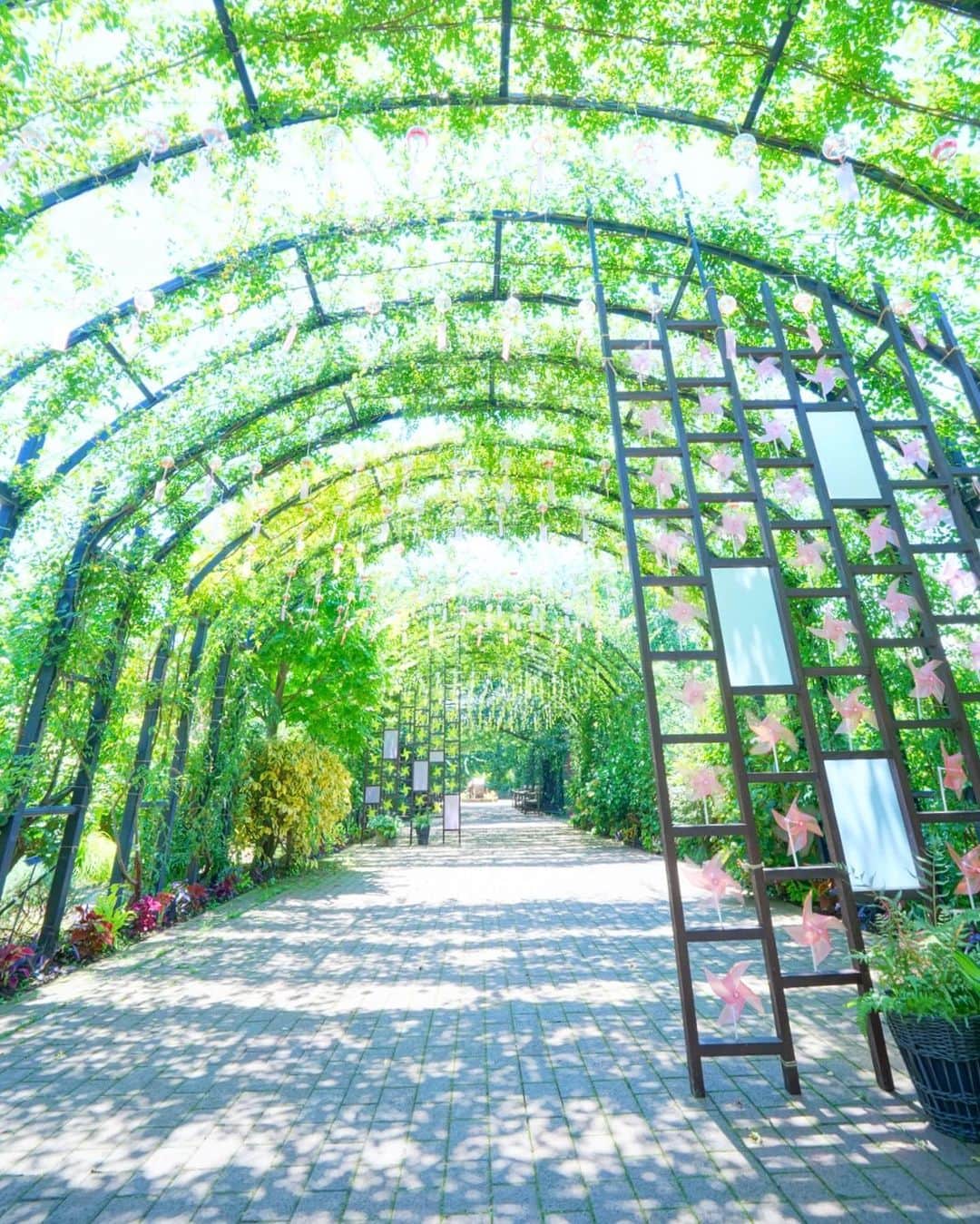 横浜市さんのインスタグラム写真 - (横浜市Instagram)「How about a stroll through the Yokohama English Garden? 🌿 Photo: @miwa3inwonderland #myyokohama   #yokohama #darlingescapes #beautifuldestinations #artofvisuals #somewheremagazine #discoverglobe #travelawesome #passionpassport #lovejapan #explorejapan #japanlife #japanfocus #japan_vacations #japanrevealed #よこはま #ヨコハマ #横浜」8月18日 18時00分 - findyouryokohama_japan