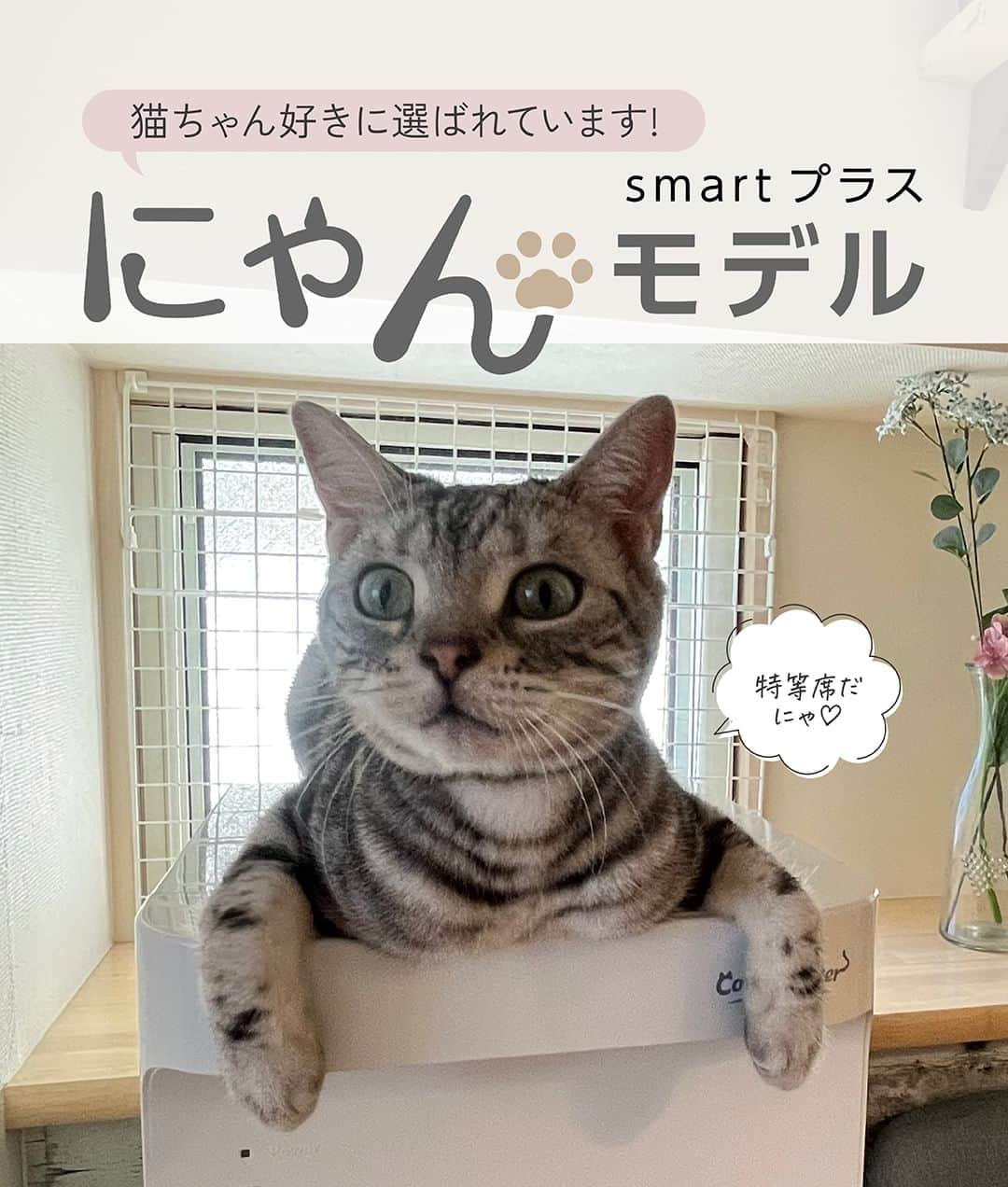 コスモウォーター【公式】のインスタグラム：「\ ネコ好きさん必見！👀 /   「だって、猫が好き。」この想いだけで誕生したネコ好きさんのためのウォーターサーバーがあることをご存知ですか？🐱💭  今なら「smartプラスにゃんモデル」を新規ご契約で、ネコモチーフのグラスがもれなく全員もらえるキャンペーンを実施中！😻  8月31日までの期間限定特典なので是非チェックしてみてください！👀 ✍️  #コスモウォーター #コスモウォーターのある暮らし #ウォーターサーバー #ウォーターサーバーのある生活 #ウォーターサーバー検討中 #天然水 #美味しい水 #QOL向上 #生活の質 #ていねいな暮らし #シンプルな暮らし #食生活改善  #水分補給 #暮らしを楽しむ #暮らしのアイデア #新生活グッズ #新婚生活 #子育て #赤ちゃんのいる生活 #こどものいる暮らし #暮らしを便利に #子育てママ #猫 #コスモウォーターにゃんモデル2023 #ねこ #猫グッズ #ねこにすと #ぬこすたぐらむ #猫好きさんと繋がりたい #ねこ部」