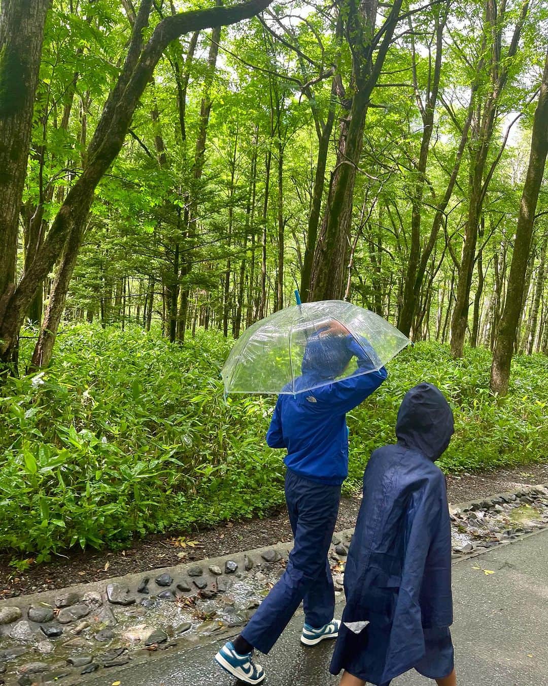 森田麻恵さんのインスタグラム写真 - (森田麻恵Instagram)「🌿🪺☔️🌿💠🐒  両親と一緒に上高地トリップ！  1日目は小雨の中を  途中、サルとすれ違ったりしながら散策。  しばらすると雨も上がって、 息子たちは石投げに夢中。 母も、一生懸命平らな石を探していましたw  雨上がりの森の匂いって、どこか懐かしくていい香り🦎  #夏休み #上高地 #summervacay  #familytrip」8月18日 18時31分 - morita_mae