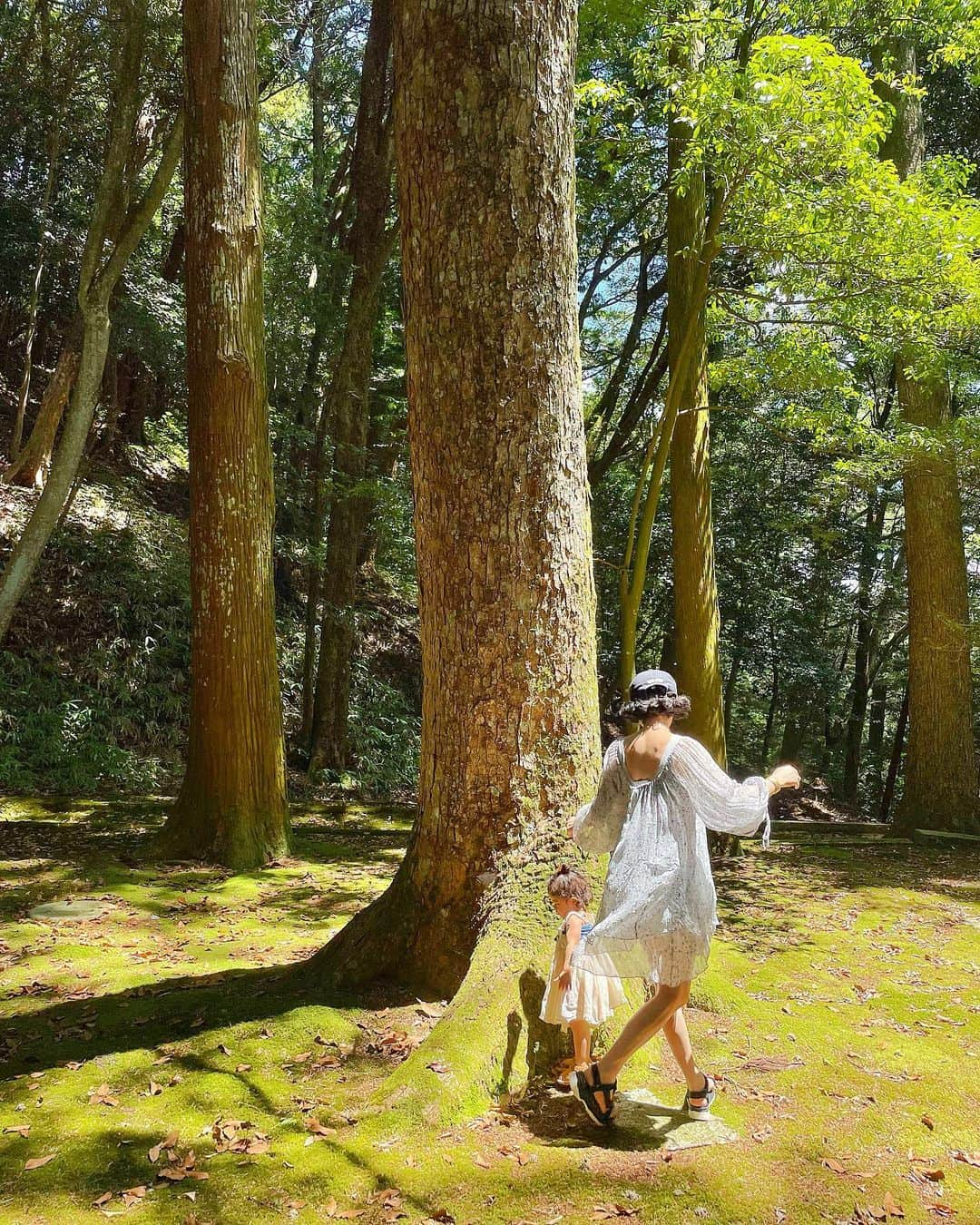 ノーマのインスタグラム：「🌳🌳🌳🌳🧚🏽‍♂️🐒🐒🤍   巨大な高野槙や紅葉の木、リスに大人気の胡桃の木、苔… 苔…苔…苔〜！緑が眩しく、いつまでも居たくなる場所。  植物同士や植物と動物のコミュニケーションについて驚く研究内容が多く発表される昨今。古木の園に住まう生命たちが如何なる会話に夢中か聴いてみたい👂  team アニミズムの撮影で来て以来、一年ぶりの金勝寺。奈良時代に呪術師 や僧侶たちが修行した霊地は、芳しい森の香りと共に異次元に誘ってくれます🛸  Me 👗　Vintage silk onepice 👡 @tevajapan   Babe 👗　@marlmarl_tokyo f 🎽　@inbetweenblues.jp   #滋賀 #金勝寺 #botanics」