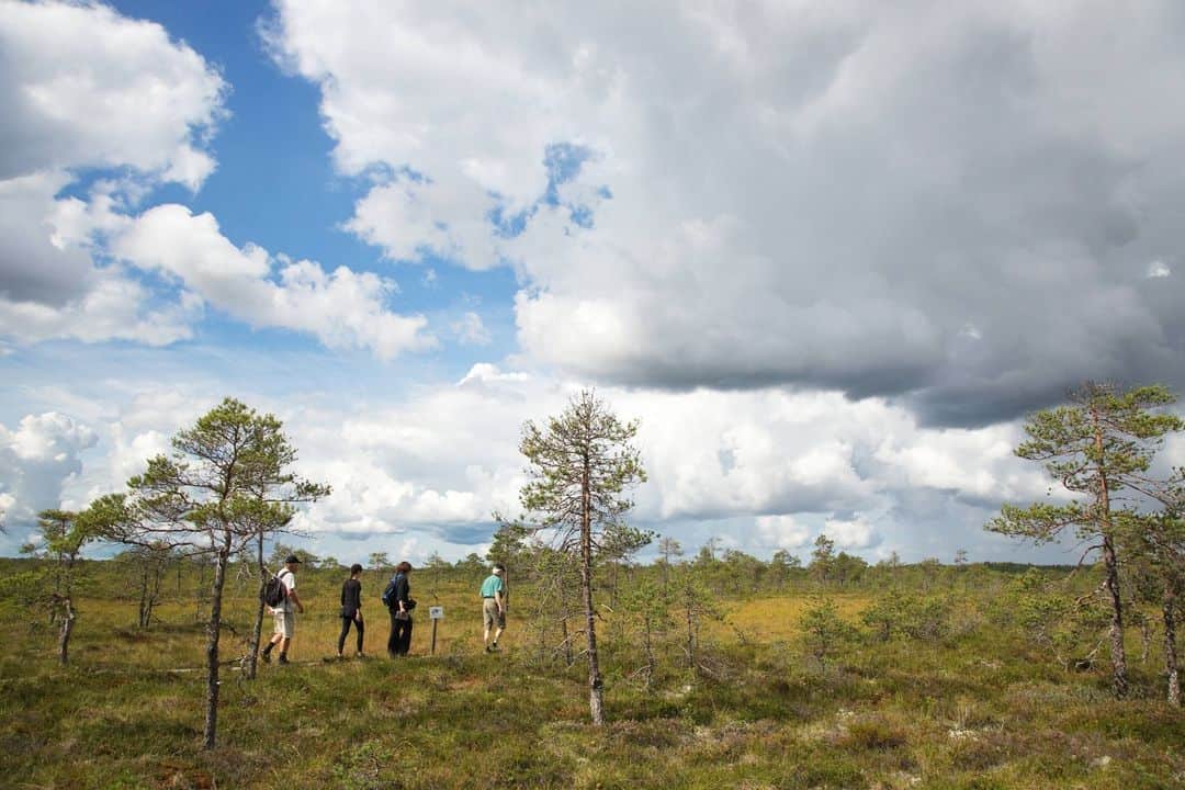 フィンランド政府観光局さんのインスタグラム写真 - (フィンランド政府観光局Instagram)「🌊フィンランドの沿岸と群島地域にある国立公園を訪れてみませんか？これらの国立公園はとりわけ夏におすすめの場所です！  ⛵5万以上の島が点在する地域ではボートでの探索が最高ですが、陸上交通で行ける場所もたくさんあります。定期運行のフェリーや水上タクシーもあります。  📸Mika Rokko, Katri Lehtola, Ari Ahlfors, Essi Keskinen」8月18日 19時00分 - visitfinlandjapan