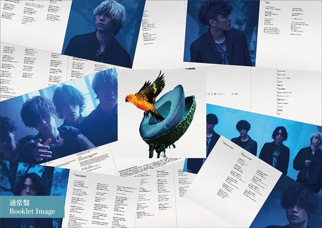 神はサイコロを振らないのインスタグラム：「9/27 (水) 発売 2nd Full Album「#心海」より、各形態ごとのブックレット中面のイメージ写真を公開！ #神サイ  ○通常盤 メインアーティスト写真を中心に構成  ○初回限定盤A[雪融けを願う飛行船 Live盤] スタジオとアウトドアロケーションで撮り下ろしたアーティストフォトのアザーカットが満載！ここだけでしか見られない貴重なショットの数々で構成  ○初回限定盤B [最下層からの観測 & 事象の地平線 Live盤] 「最下層からの観測」「事象の地平線」「雪融けを願う飛行船」の3本のライブの未公開ライブスチールショットを含み、ライブ映像とリンクする内容で構成  ○完全数量限定Goods盤 [UNIVERSAL MUSIC STORE限定発売] メンバーの素の表情が垣間見え、プライベート感も感じられるスチールショットで構成」