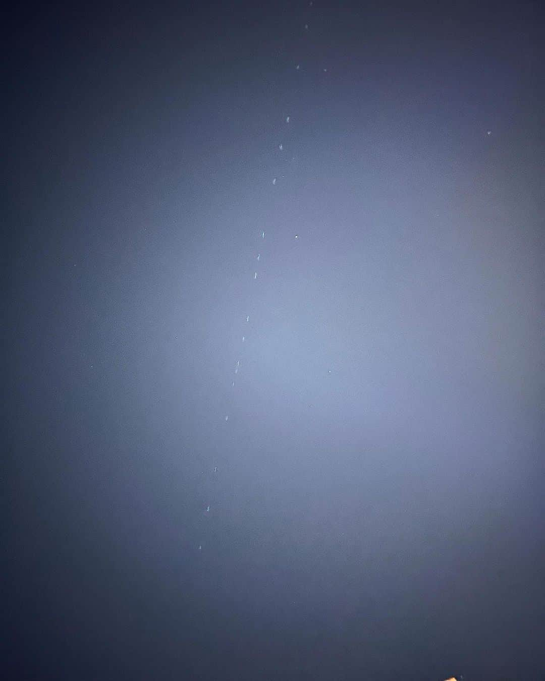 中畑大樹さんのインスタグラム写真 - (中畑大樹Instagram)「スターリンク衛星観れた！！  かんげき＼(^o^)／」8月18日 19時19分 - daiki_nakahata