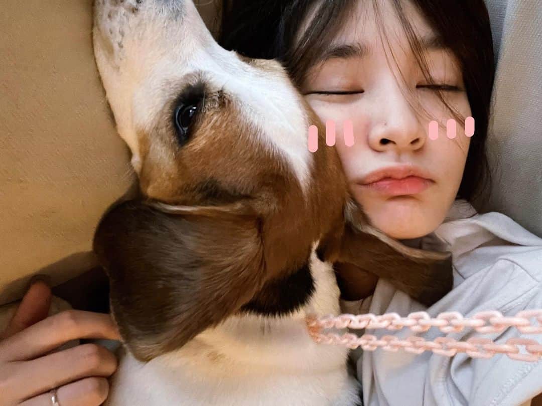ジングルワンのインスタグラム：「： 今日早晨份的枕頭 嗯嗯 (*≧ω≦)」