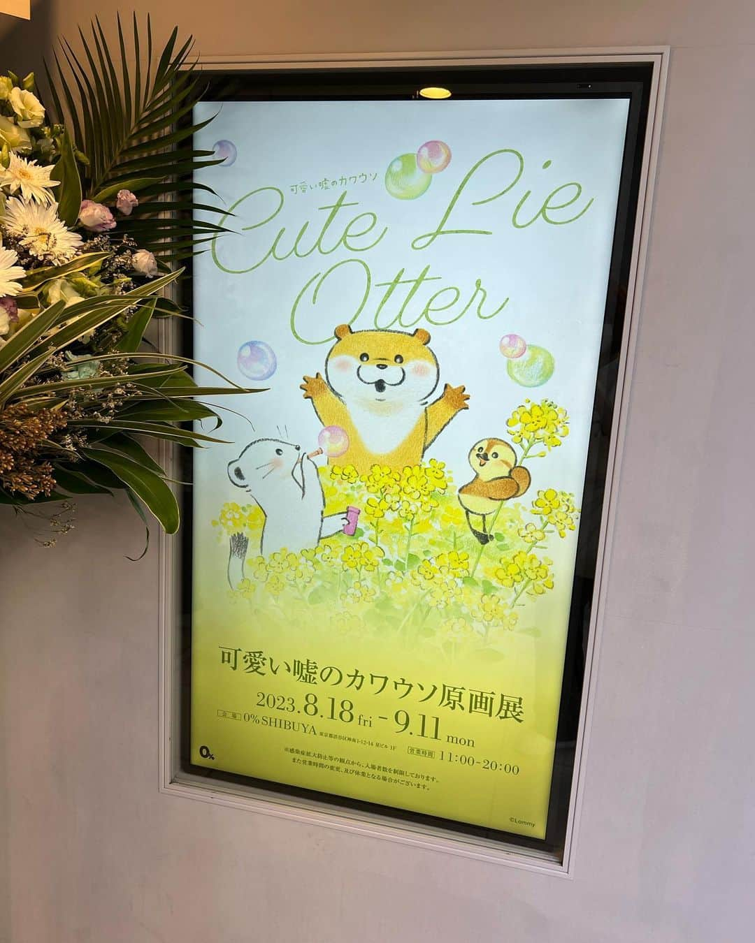 あこのインスタグラム：「可愛い嘘のカワウソ原画展に行って来た！ 可愛すぎる…癒しの大渋滞やった… 原画も生で見られてめちゃくちゃ感動した！色味の繊細な使い方とか鉛筆の一本一本の線や色の濃さとか、細かい部分のタッチが直接見られて本当感動した☺️ グッズもたくさん買えたし大満足！まだ買いたいのあったけど厳選して選び抜いた…🥲 ガチャも回してキャッキャしとる時に丁度お店のスタッフさんに声をかけていただき、なんと視聴者さんでいつも動画観てますって言っていただけてめちゃくちゃ嬉しかった😭💓真剣にガチャ回して2人で静かにジェスチャーで興奮しとるところ見られとったの恥ずかしい😇笑 #可愛い嘘のカワウソ #可愛い嘘のカワウソ原画展」