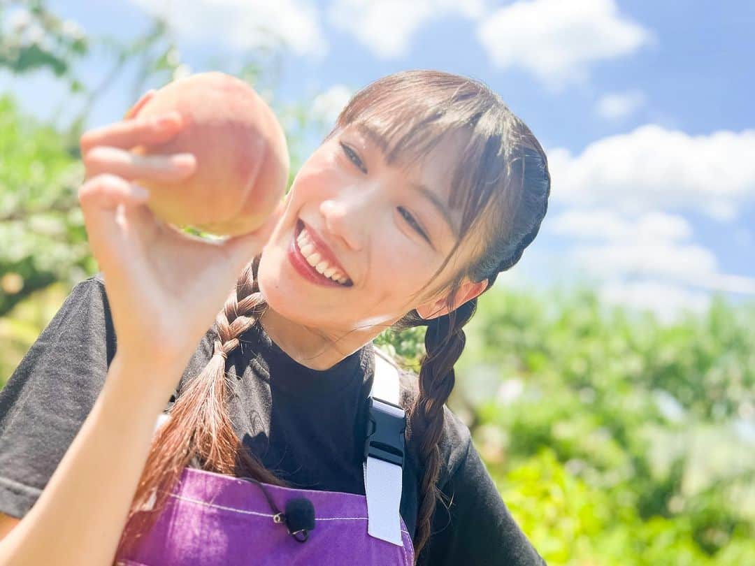 日本テレビ「満天☆青空レストラン」さんのインスタグラム写真 - (日本テレビ「満天☆青空レストラン」Instagram)「☀️ 明日の青空レストランは 和歌山県紀の川市の「満天桃」をご紹介します🍑  ゲストは、ももいろクローバーZの高城れにさんです💜  名人が手間暇かけても 全体のわずか5パーセントしかとれない 「満天桃」🍑✨  大輔さんと高城れにさん 名人直伝の「美味しい桃の見分け方」をヒントに 畑に実ったたくさんの桃の中から 「満天桃」を見つけることが出来るのでしょうか👀  大輔さんの超本気で探す姿に注目です🤣  そして 高城れにさん×桃のショットが とにかく可愛すぎるので是非ご覧ください🍑  お楽しみに⭐️  #満天青空レストラン #青空レストラン #青空 #青レス #満天 #宮川大輔 #大ちゃん #うまい　#レシピ #日テレ #日本テレビ #和歌山県　#紀の川市　 #ロケ　#桃　#あら川の桃　#満天桃 #ももいろクローバーZ  #高城れに #サッポロ　#サッポロで乾杯」8月18日 19時50分 - aozora_official