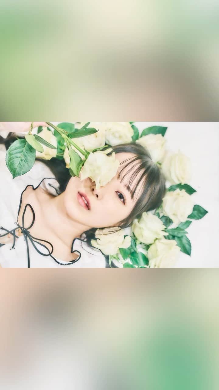 DINO（ディノ）のインスタグラム
