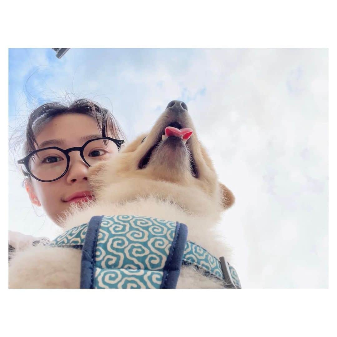 加村真美さんのインスタグラム写真 - (加村真美Instagram)「もうそろそろ7才🐶  #ピンボケのまる　じゃないまる」8月18日 20時16分 - kamura_mami