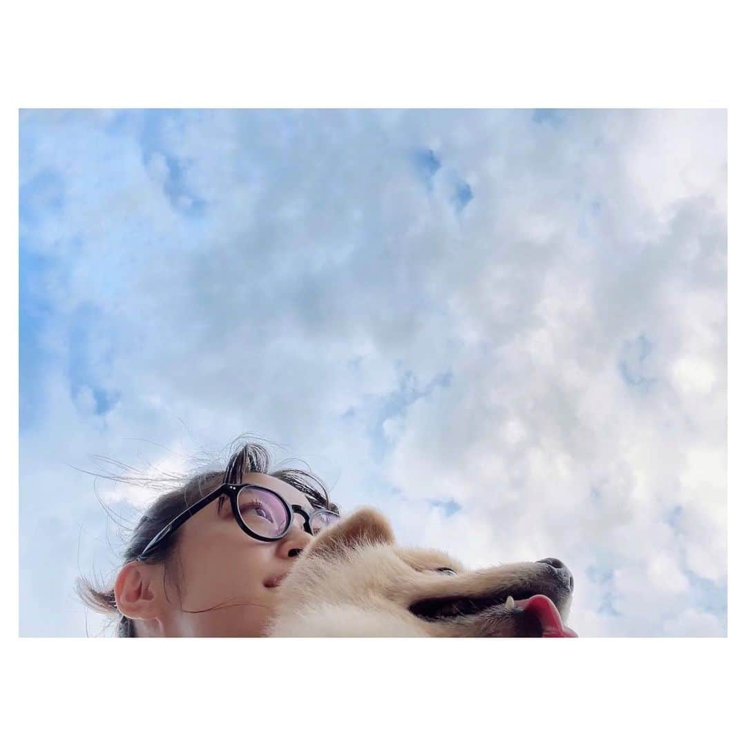 加村真美のインスタグラム：「もうそろそろ7才🐶  #ピンボケのまる　じゃないまる」