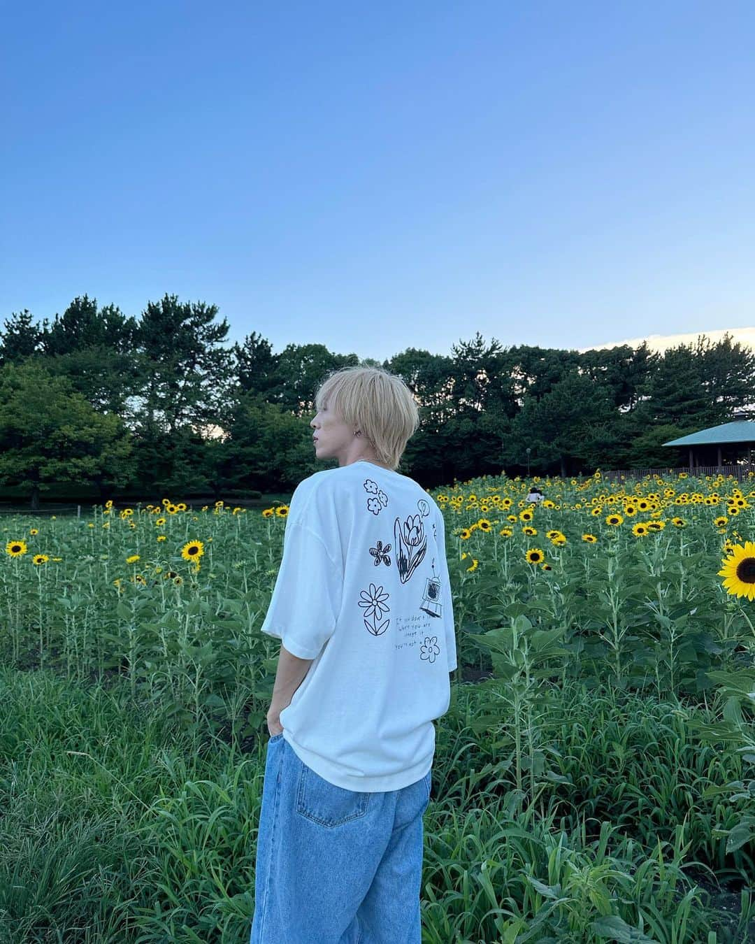 Uのインスタグラム：「🌻🎡🌆 撮影してきた！ 発表事がこれからドンドンくるぞ お楽しみに待っててね🎥  @smileflower_official_   #スマフラ #ゆうたい #向日葵」