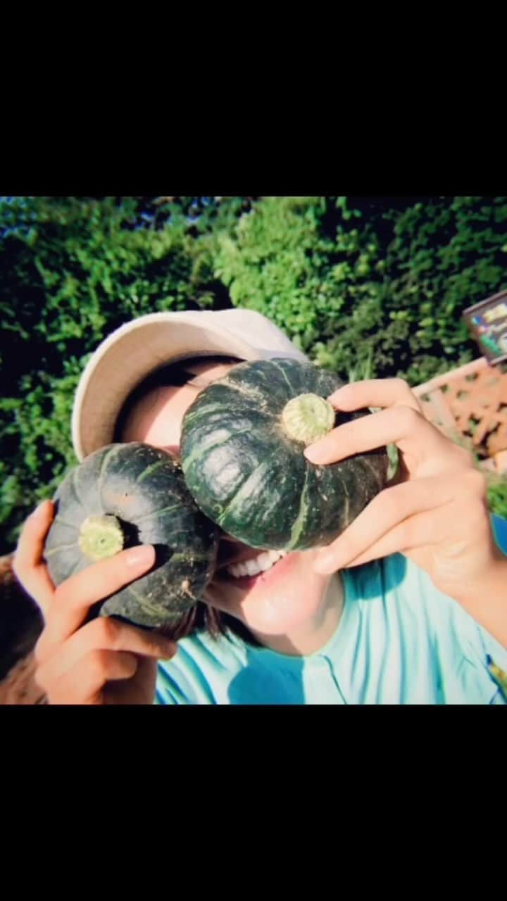長沢裕のインスタグラム：「・ インスタが自動的に作ってくれた思い出リール動画が 楽しそうすぎて、、、本当にいい思い出です🥹✨  三浦大根と聖護院大根を隣に植えたら、なんだかすごい大根が取れたのも面白かった〜  #やさいの時間#思い出 #おやさいそだてよう」