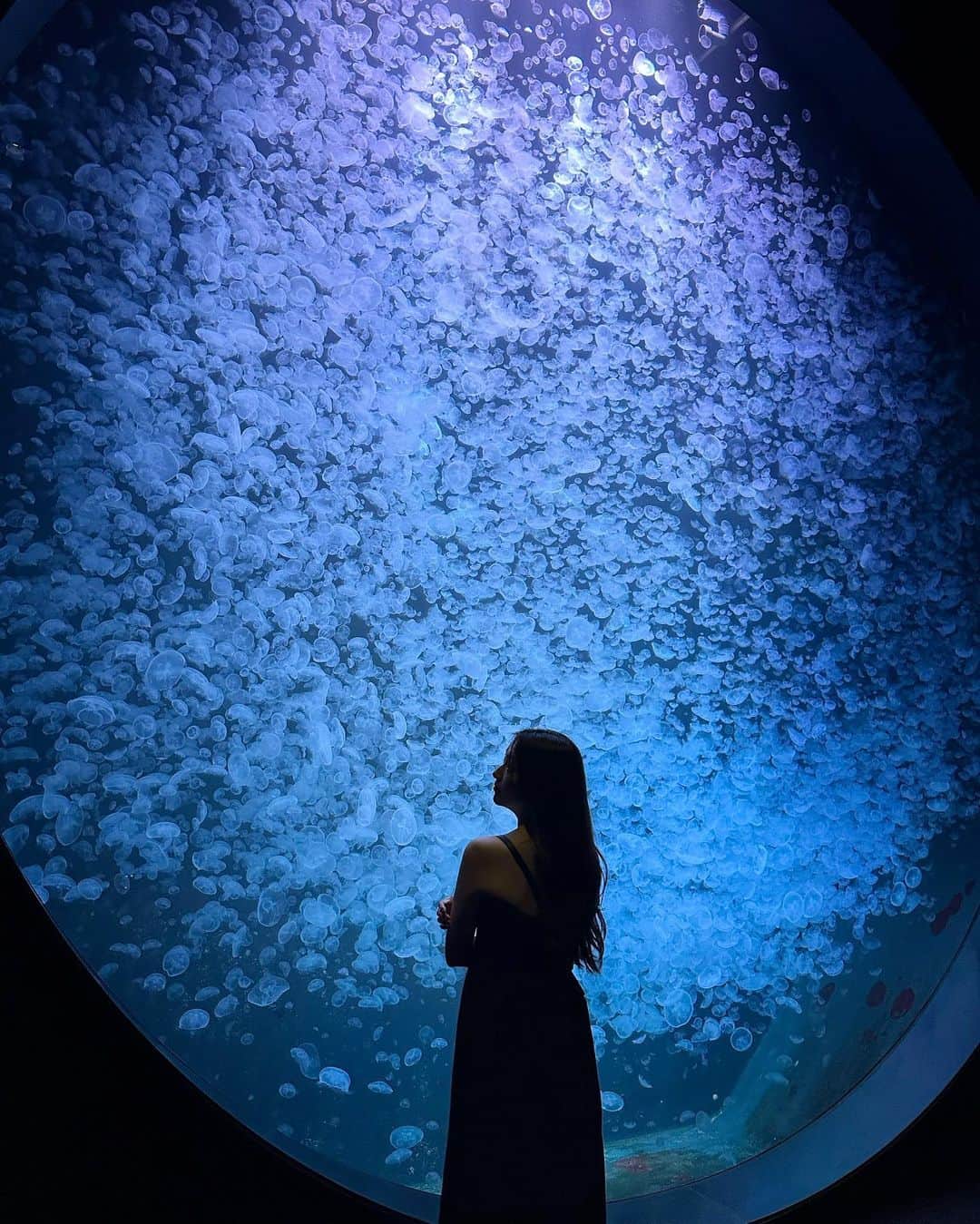 東海林里咲のグルメインスタ