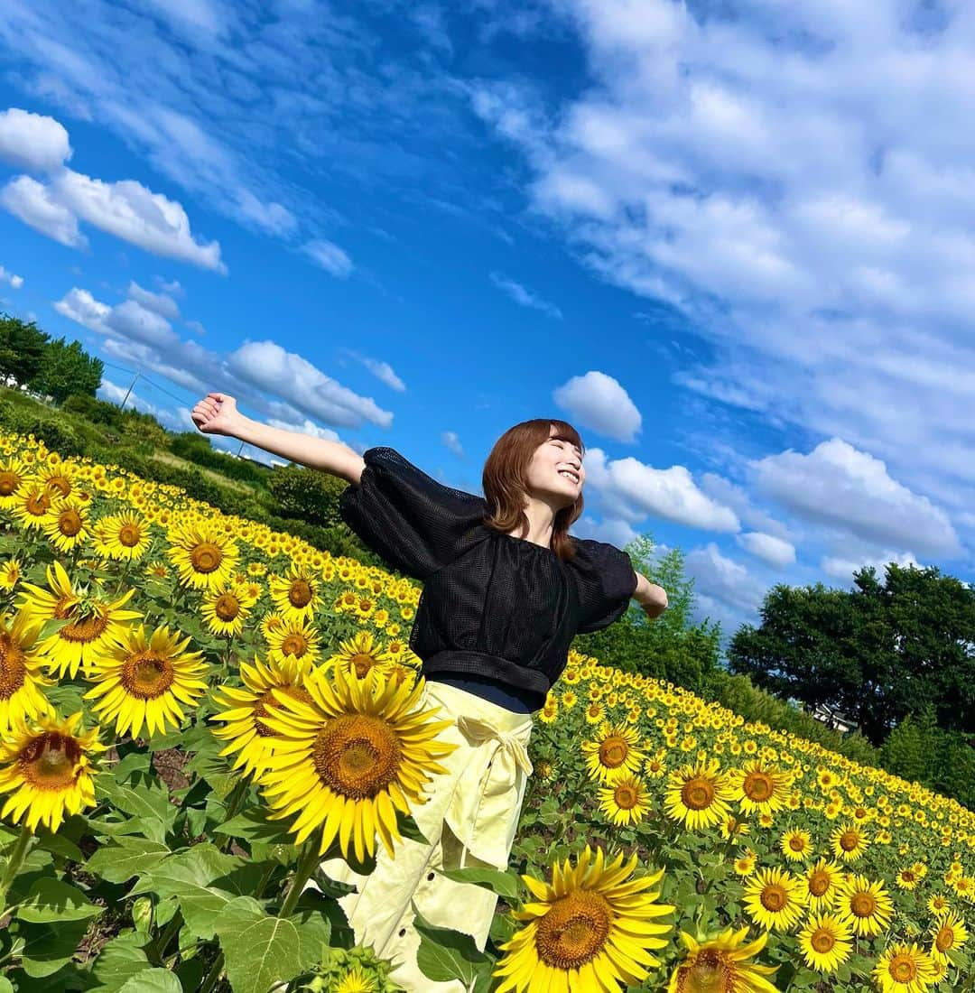 颯希有翔さんのインスタグラム写真 - (颯希有翔Instagram)「🌻🌻  綺麗すぎたのでもっと載せちゃう🫣✨ ひまわりのように明るい方を向いて進んでいきたい今日この頃🌻  #ひまわり畑  #宝塚  #月組」8月18日 21時41分 - yuto_hayaki