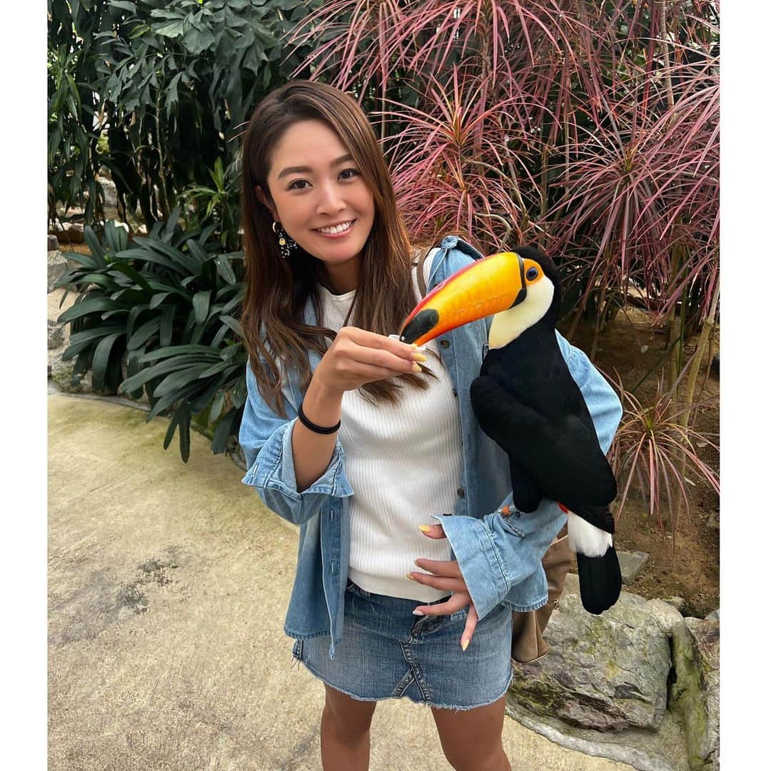 菊池なつきのインスタグラム：「🦜🦩🦚🕊️  あんまりすきじゃないみたい笑  #松江フォーゲルパーク #島根　#島根旅行　#金沢　 #travel #travelphoto #旅行 #trip #travel #japan #旅 #traveler #instatravel #japanesegirl  #タビジョ　#国内旅行　#旅女 #女子旅 #植物園　#動物園　#BIRDPARK #BIRD  #タビジョ」