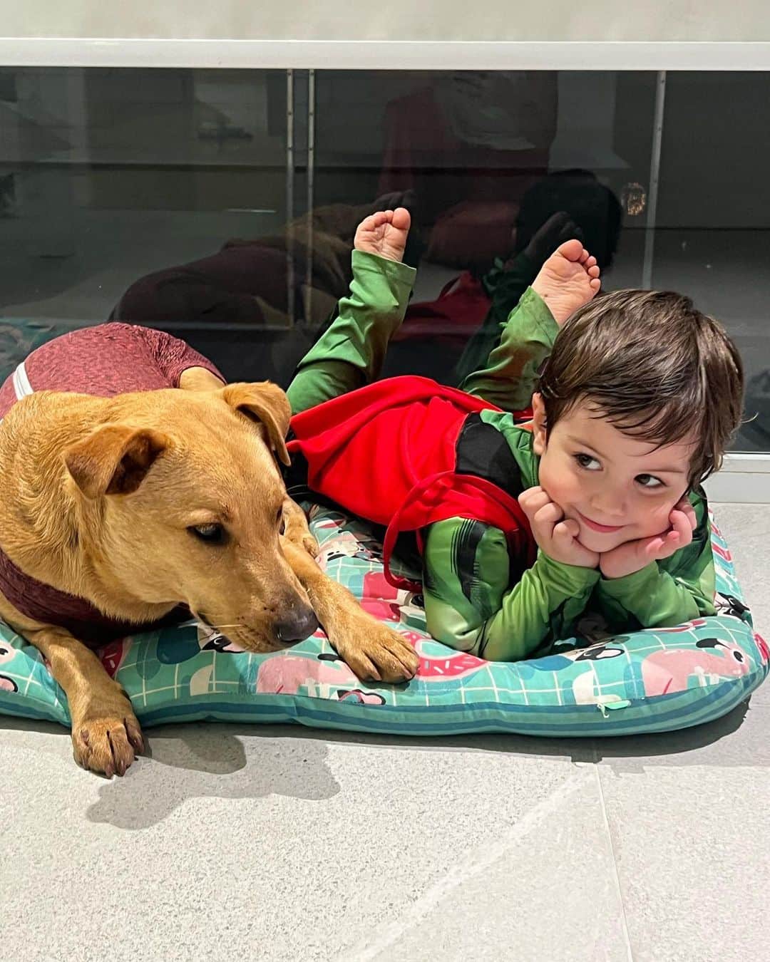 ステファニー・ブリットのインスタグラム：「“Mamãe, olha a Tina deixou um espacinho na cama dela pra “eu” entrar junto!” ❤️ Por aqui a relação dele com os irmãos tem dias e dias (como qq irmão). Mas ontem especialmente ele estava numa paixaaaao com os cachorros!!! ❤️❤️❤️ Meu coração se derrete todo de ver eles juntos. . Duvido vc ver a última foto e não abrir um sorriso」