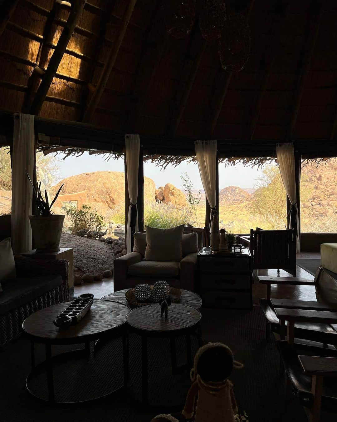 エレナ・アレジ・後藤さんのインスタグラム写真 - (エレナ・アレジ・後藤Instagram)「another beautiful spot in Namibia 🐘🤍🦒」8月18日 22時16分 - alesihelena