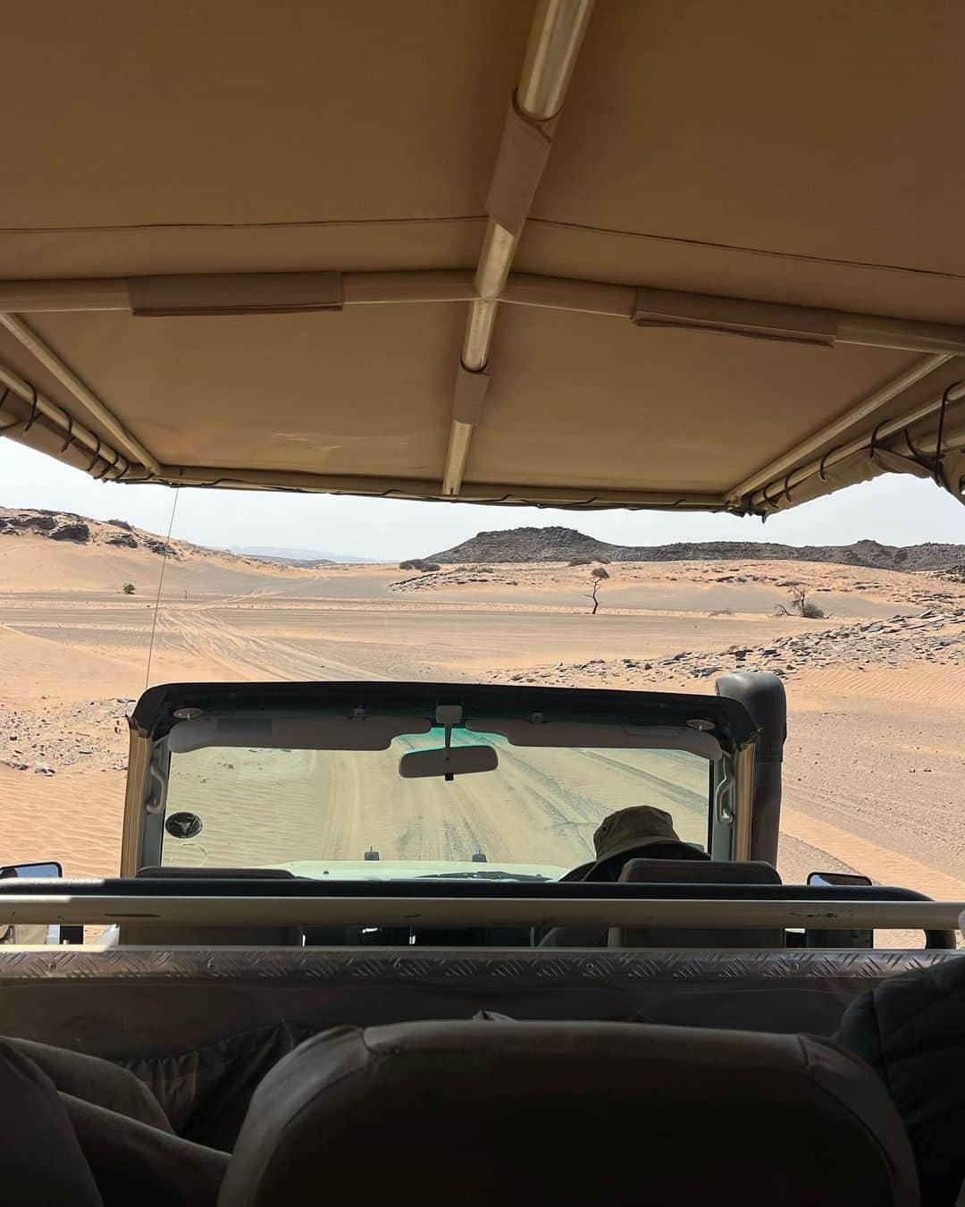 エレナ・アレジ・後藤さんのインスタグラム写真 - (エレナ・アレジ・後藤Instagram)「another beautiful spot in Namibia 🐘🤍🦒」8月18日 22時16分 - alesihelena