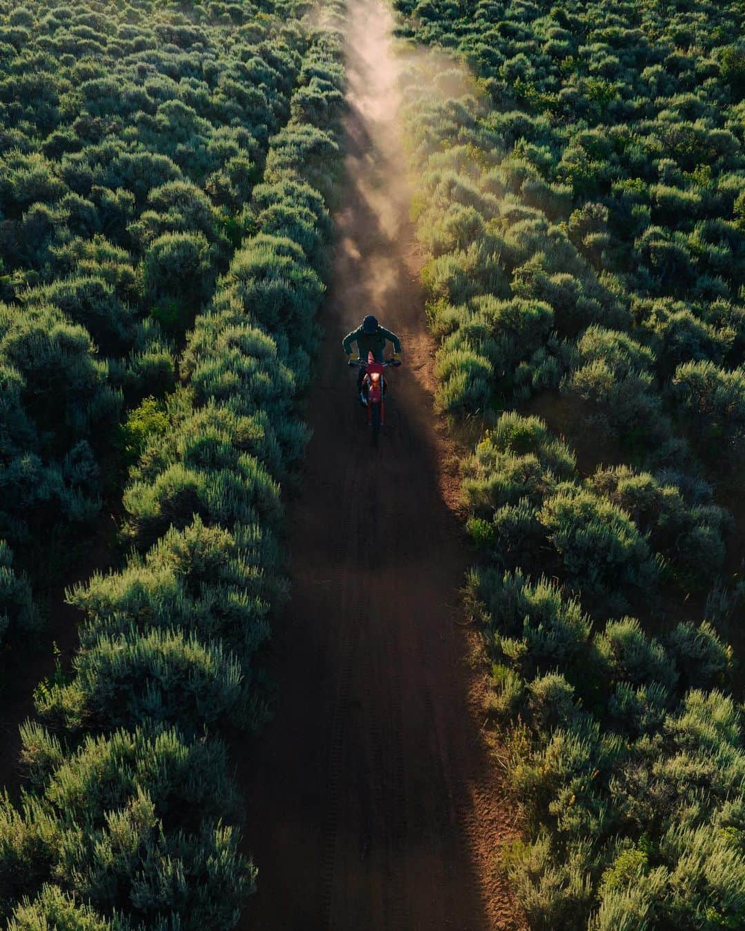 Alex Strohlのインスタグラム：「The smell of sage brush, dust, and two strokes is a mix guaranteed to wake you up. Few things I enjoy shooting more than old dirt bikes.. @bjornbredeson and crew working it @sienavalleyclub」