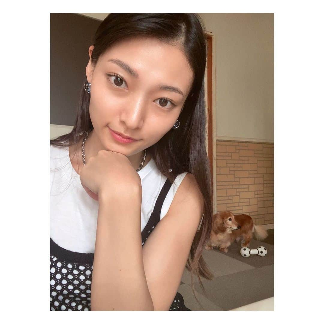 滝口成美のインスタグラム：「・ ・ 16歳のサム  #長生きしてね#老犬#元気いっぱい #オムツしてても愛おしい#16歳 #記録」