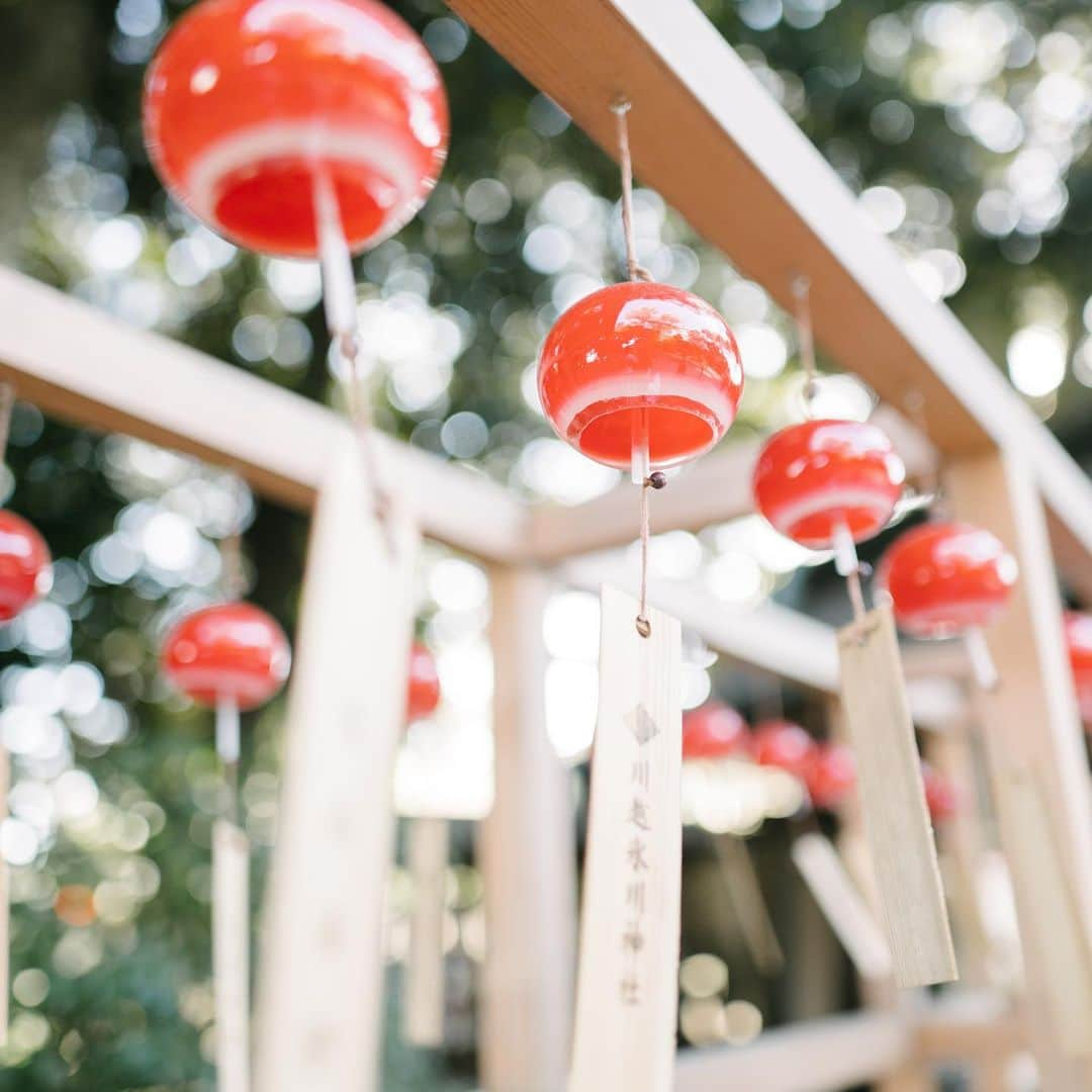 川越氷川神社のインスタグラム：「. 19日9時より江戸風鈴の頒布を再開いたします。 「赤」と「紫」合わせて約80個です。なくなり次第本年の頒布は終了とさせていただきます。  ※追記 20日午後に全色頒布終了いたしました。  #川越氷川神社  #縁むすび風鈴 #江戸風鈴 #風鈴 #神社 #埼玉 #小江戸川越 #川越 #kawagoe  #kawagoehikawashrine」